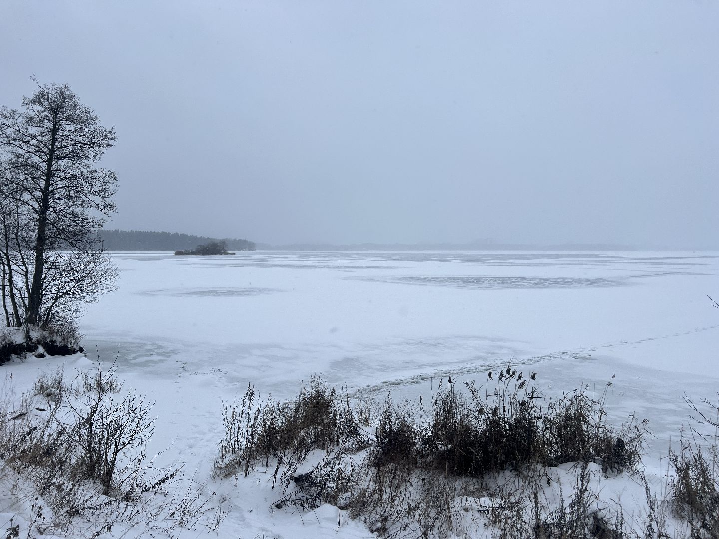 Солнечногорск, безопасность нахождения на льду, лед, ледостав в подмосковье, Жители,