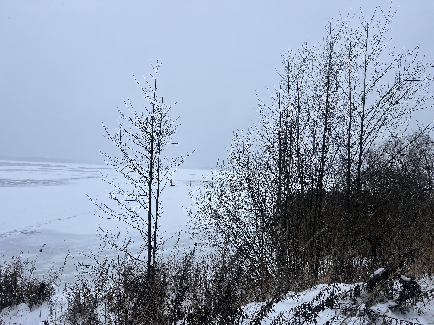 Солнечногорск, безопасность нахождения на льду, лед, ледостав в подмосковье, Жители,