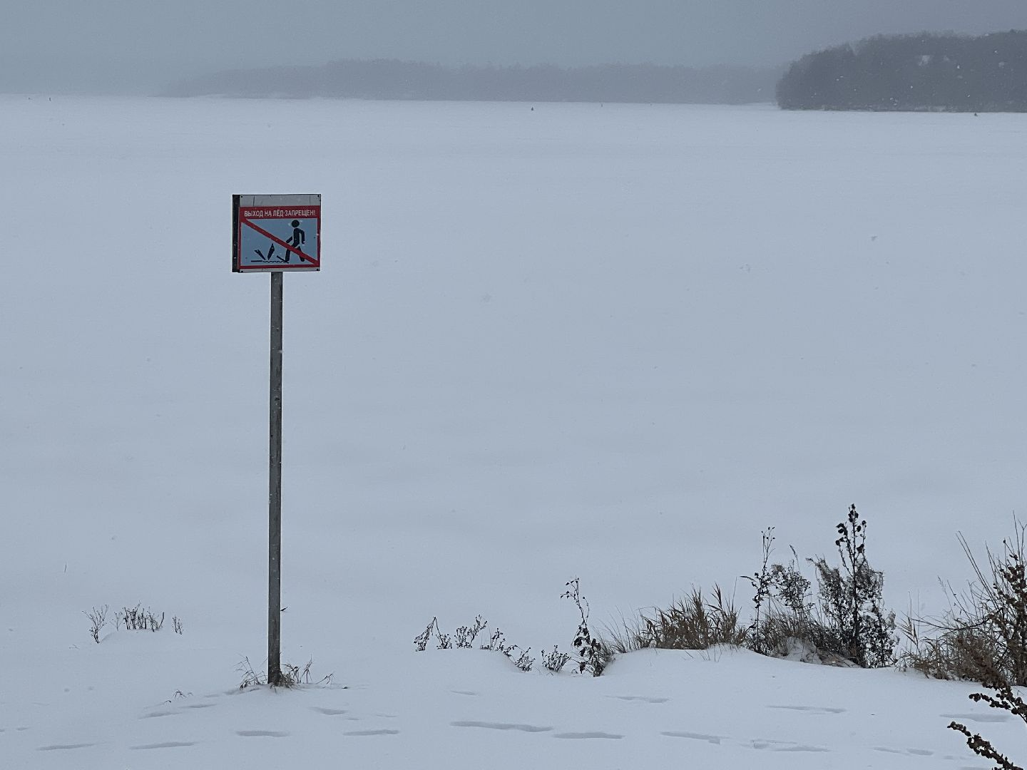 Солнечногорск, безопасность нахождения на льду, лед, ледостав в подмосковье, Жители,