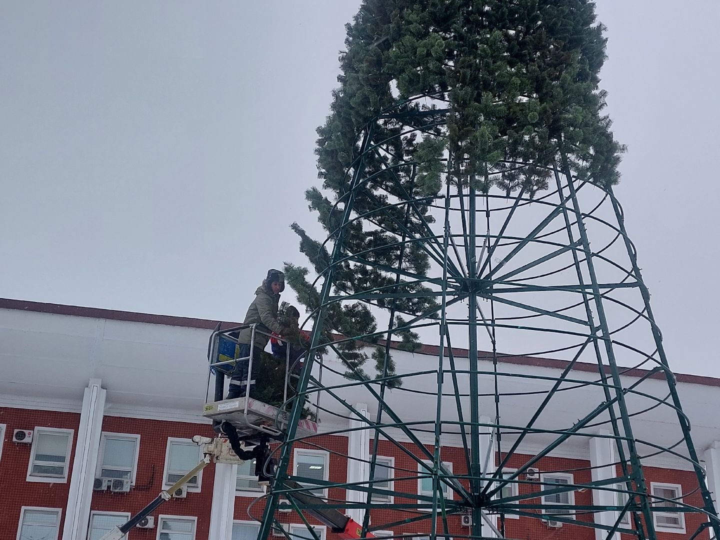 ёлка, новогодняя елка, Благоустройство, зима в подмосковье, зима 2024, город чехов,