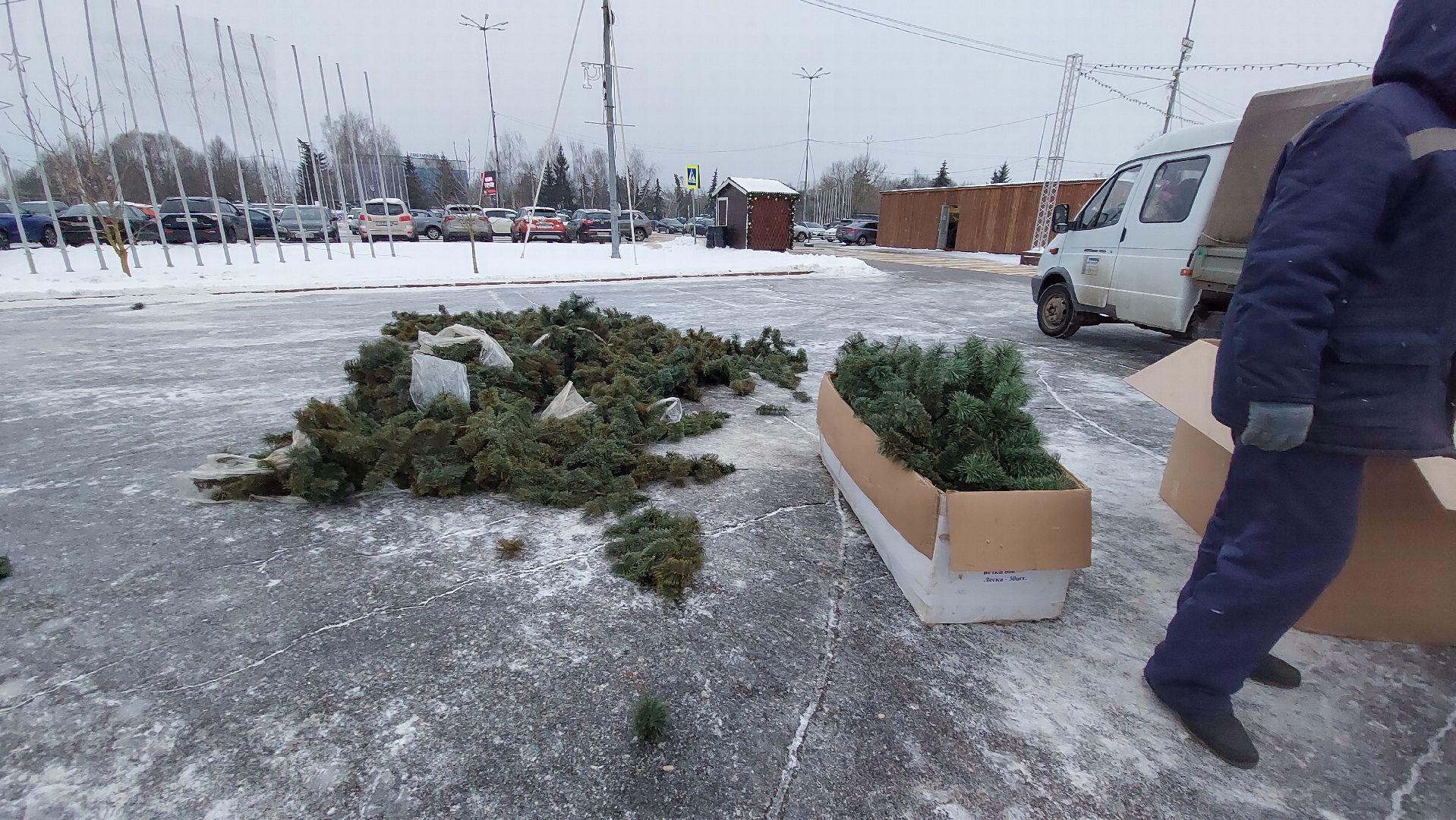 ёлка, новогодняя елка, Благоустройство, зима в подмосковье, зима 2024, город чехов,