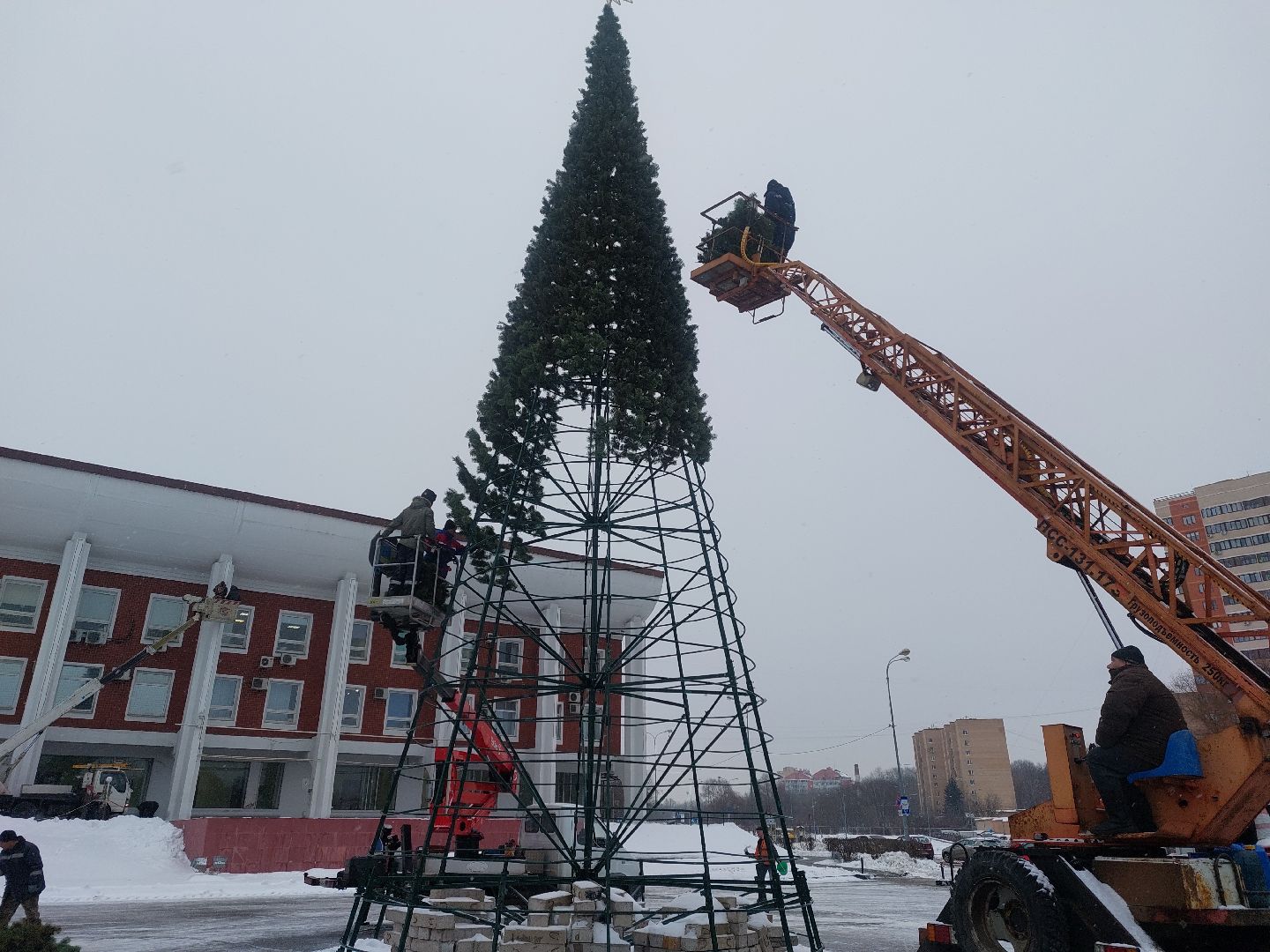 ёлка, новогодняя елка, Благоустройство, зима в подмосковье, зима 2024, город чехов,