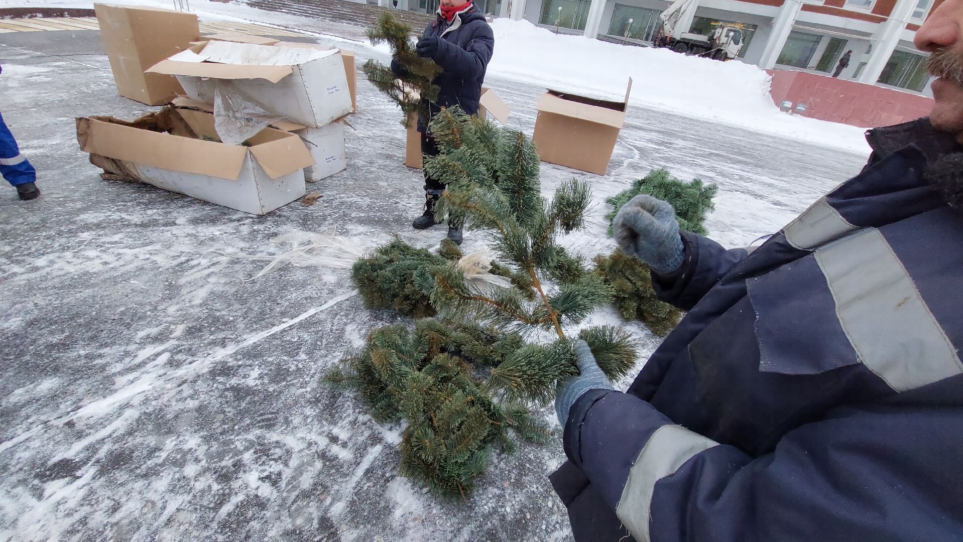 ёлка, новогодняя елка, Благоустройство, зима в подмосковье, зима 2024, город чехов,
