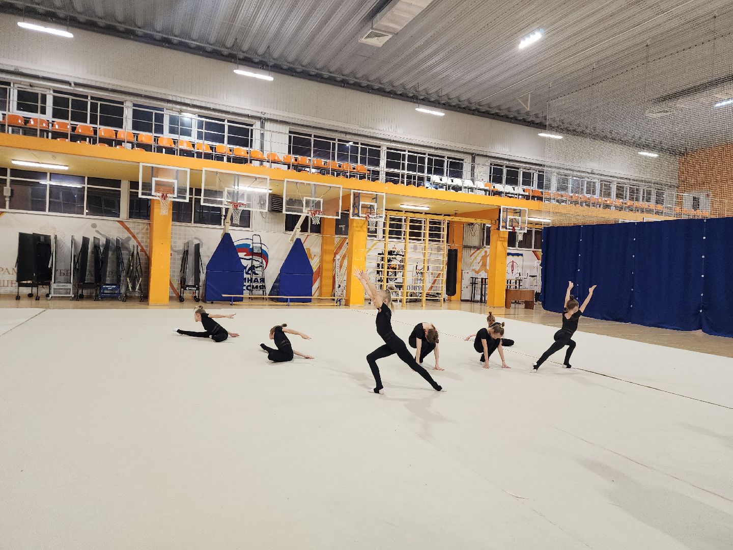 спорт, гимнастика, чемпион мира, щёлково,