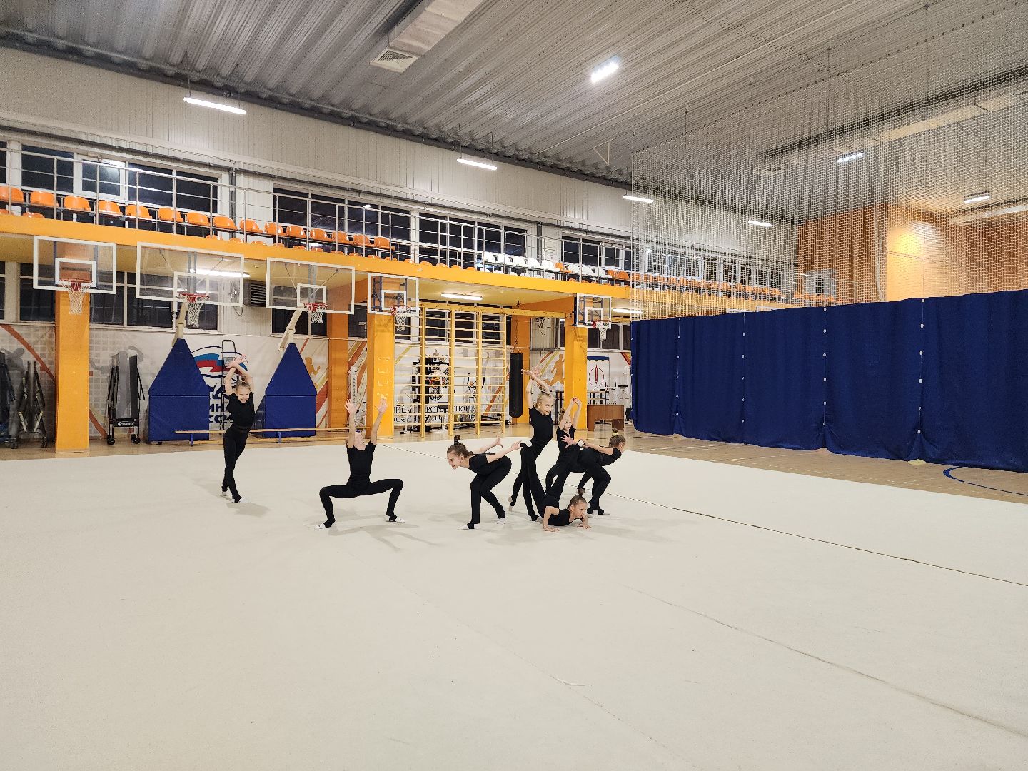 спорт, гимнастика, чемпион мира, щёлково,