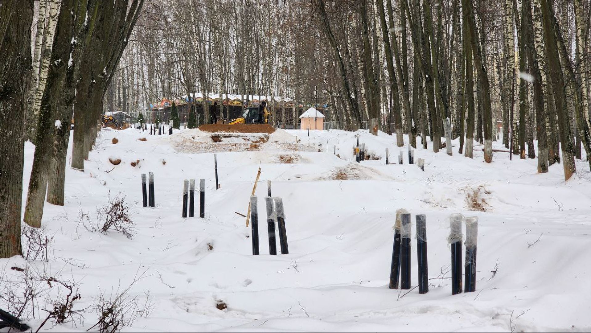 Дмитров, Парк Березовая роща, Минблаго,