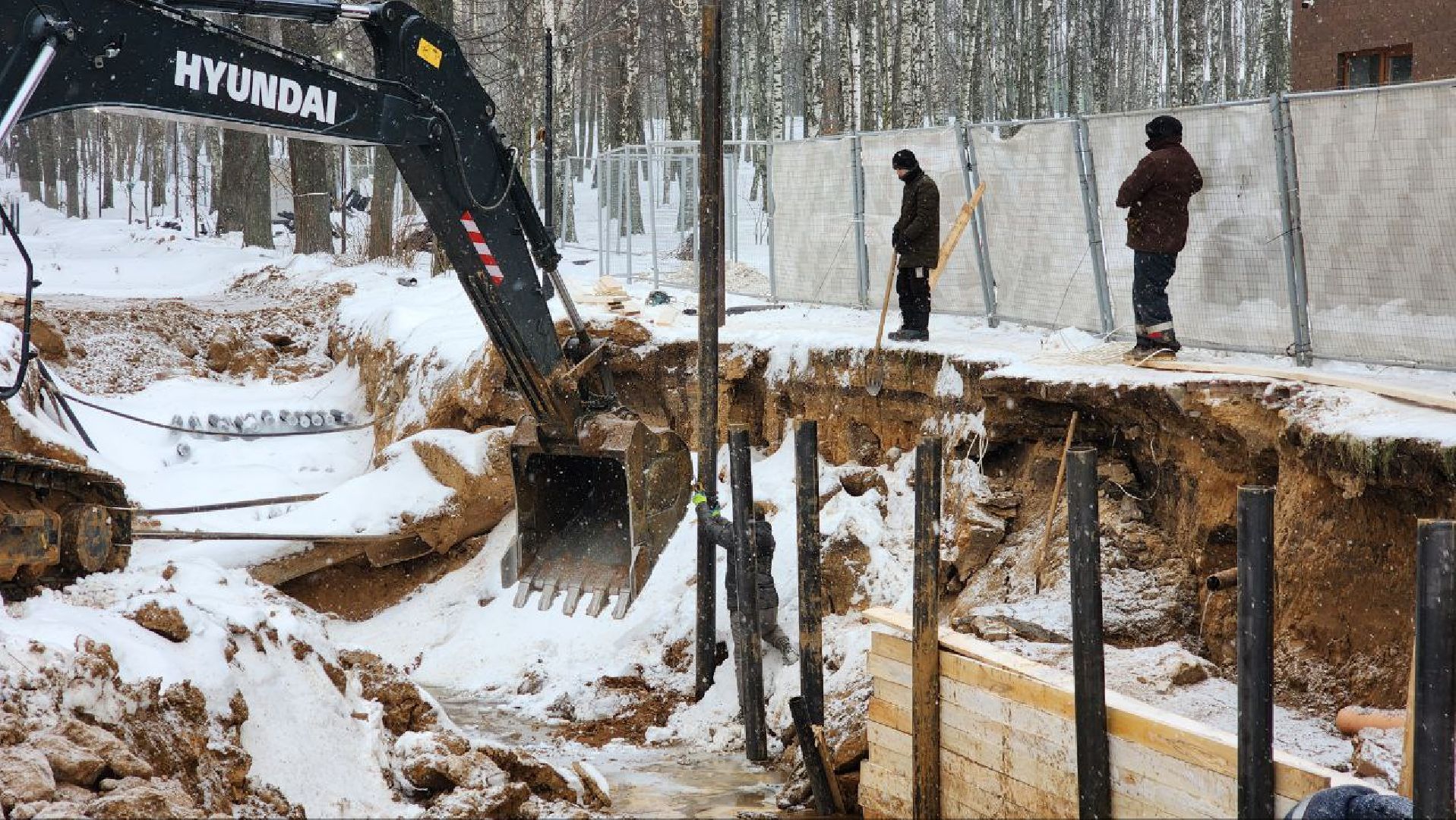 Дмитров, Парк Березовая роща, Минблаго,