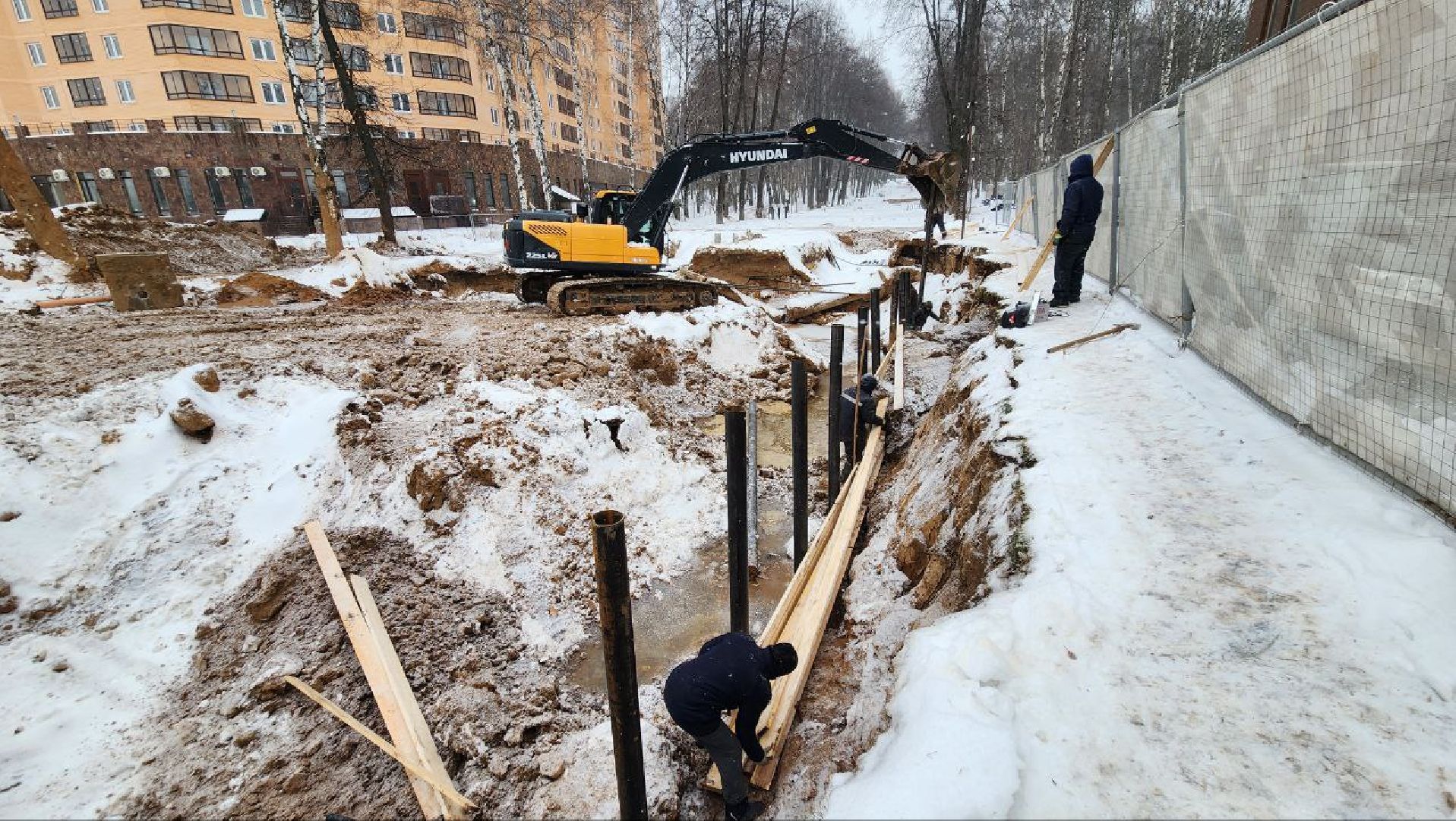 Дмитров, Парк Березовая роща, Минблаго,