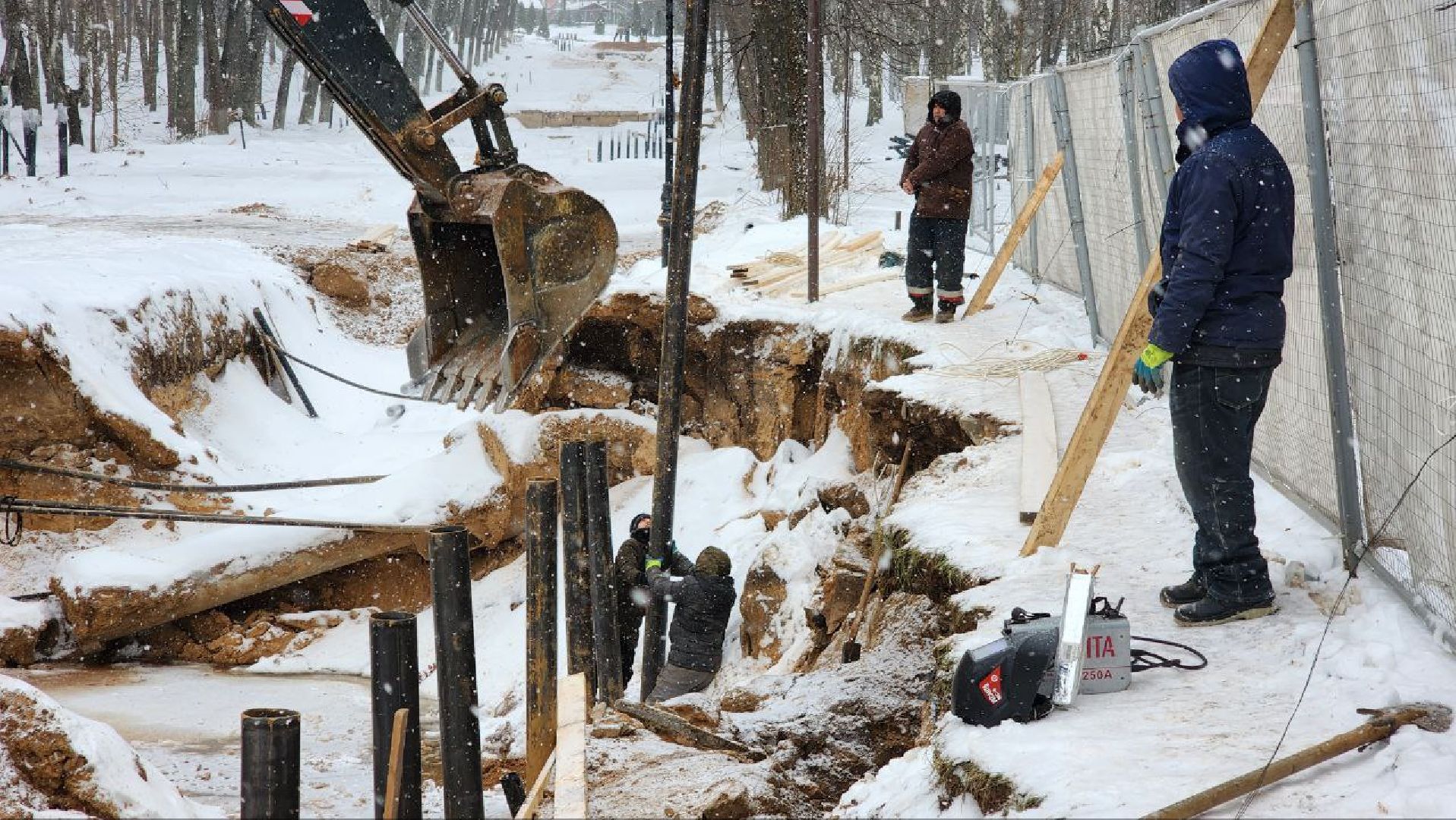 Дмитров, Парк Березовая роща, Минблаго,