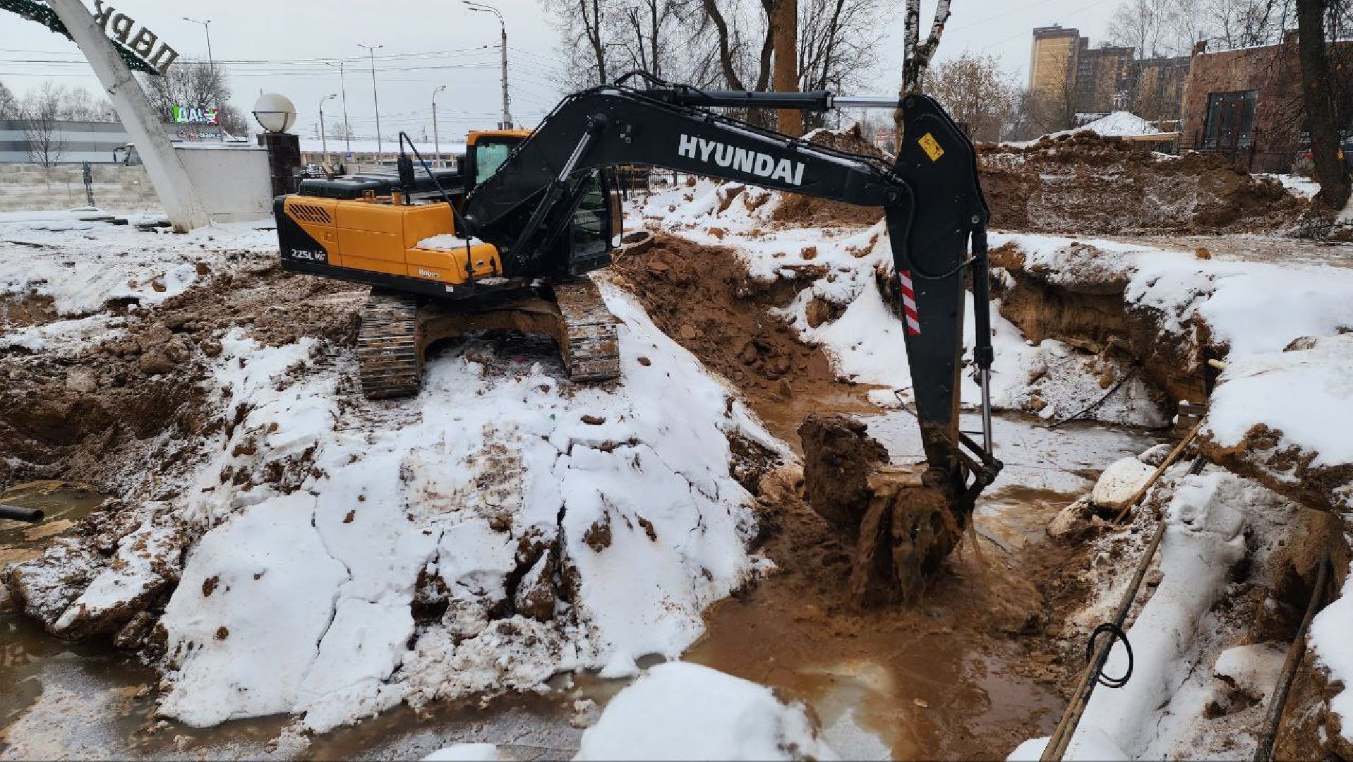 Дмитров, Парк Березовая роща, Минблаго,