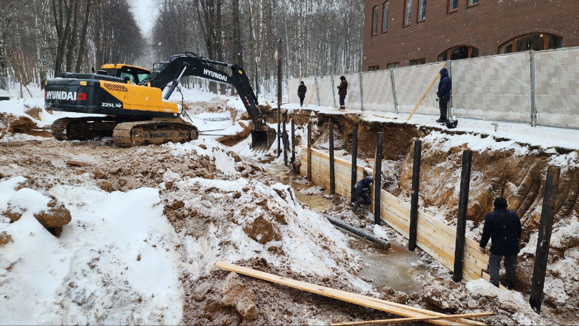 Дмитров, Парк Березовая роща, Минблаго,