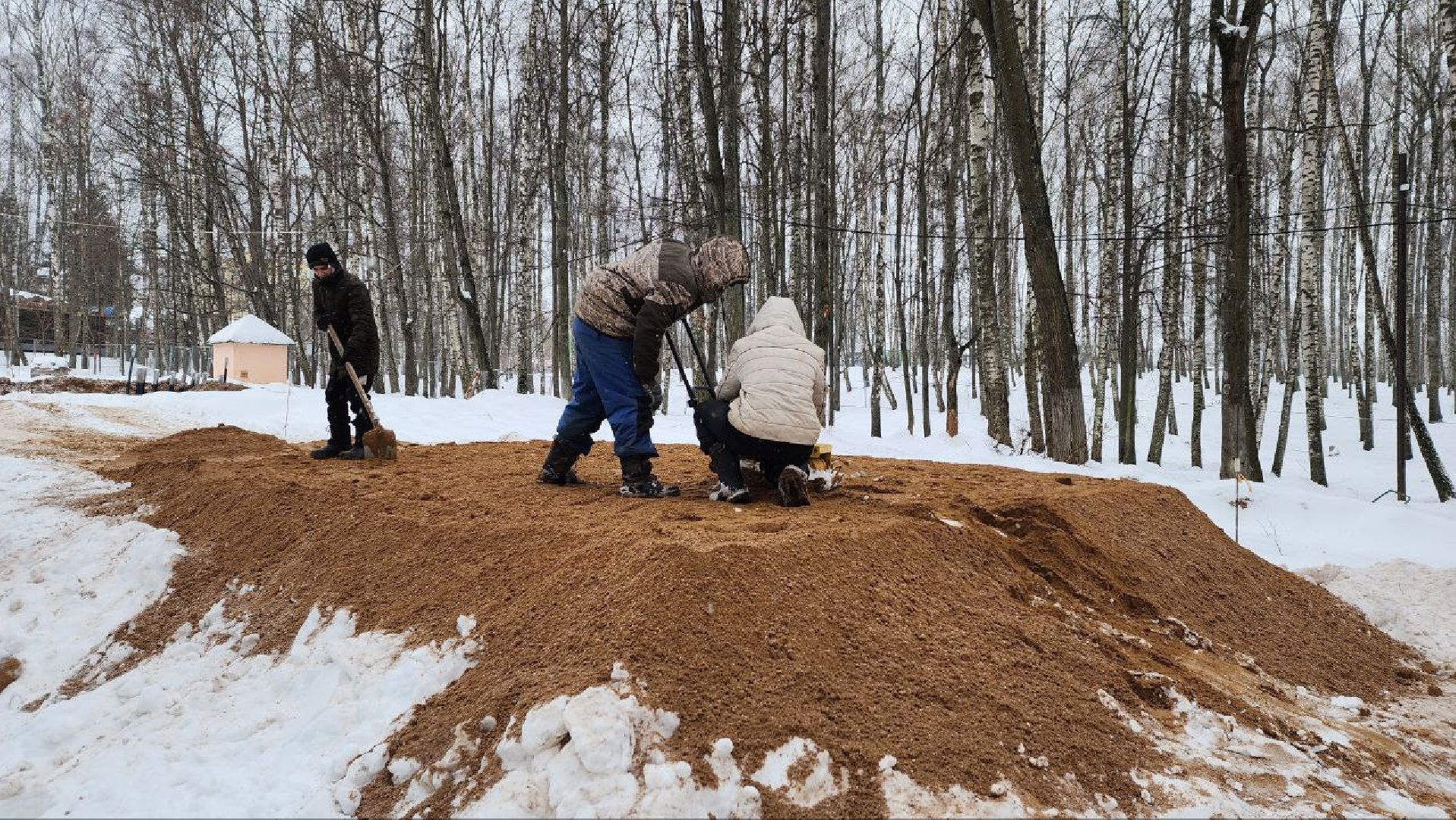 Дмитров, Парк Березовая роща, Минблаго,