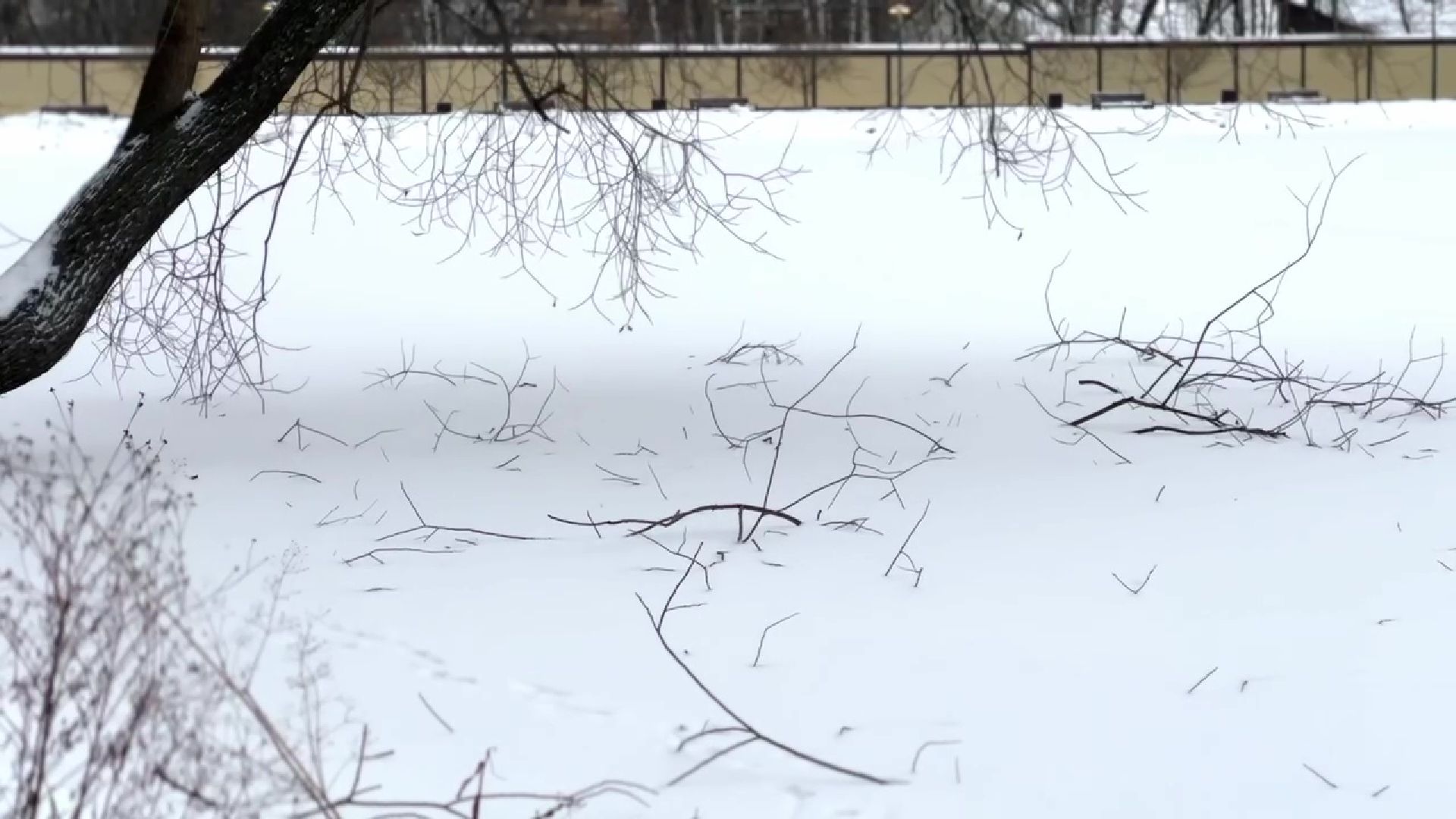 Реутов, тонкий лед, опасность, вода, МЧС,