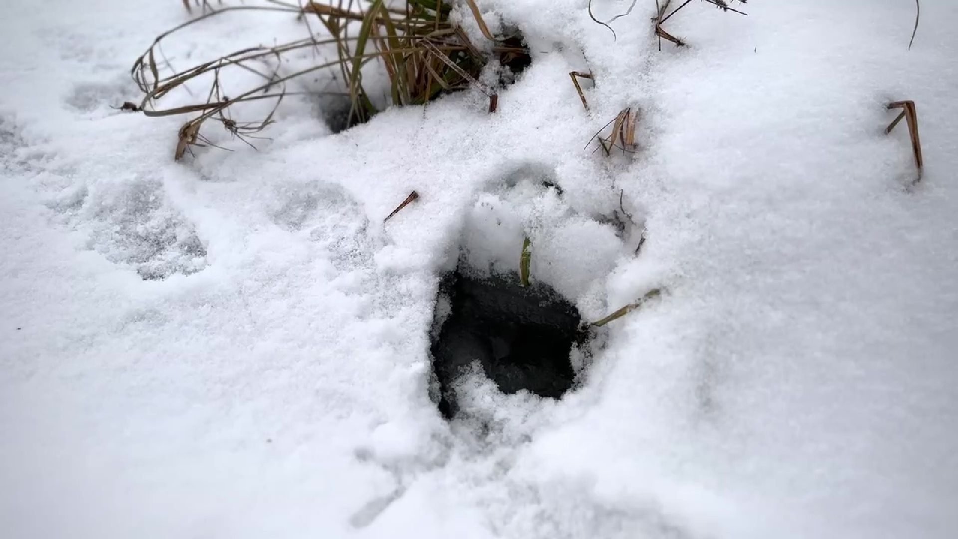 Реутов, тонкий лед, опасность, вода, МЧС,