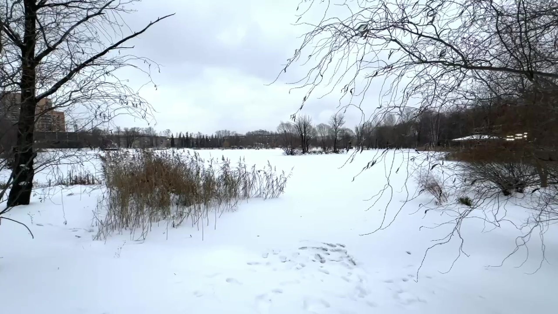 Реутов, тонкий лед, опасность, вода, МЧС,