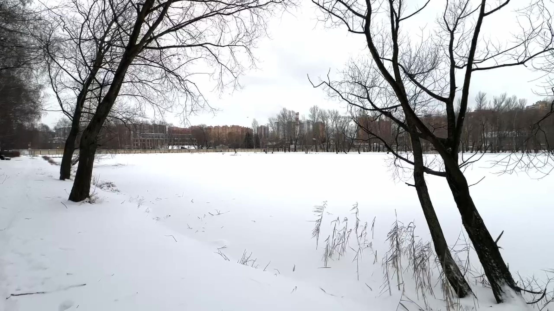 Реутов, тонкий лед, опасность, вода, МЧС,