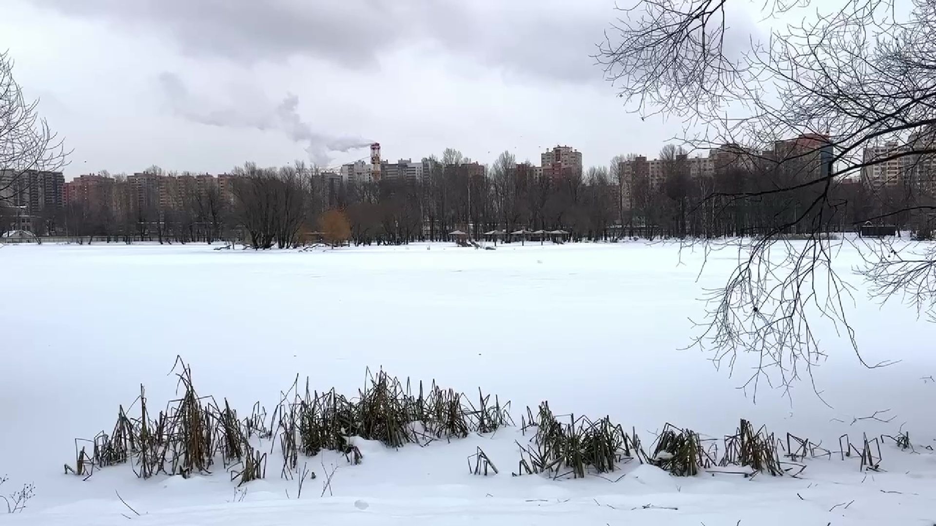 Реутов, тонкий лед, опасность, вода, МЧС,