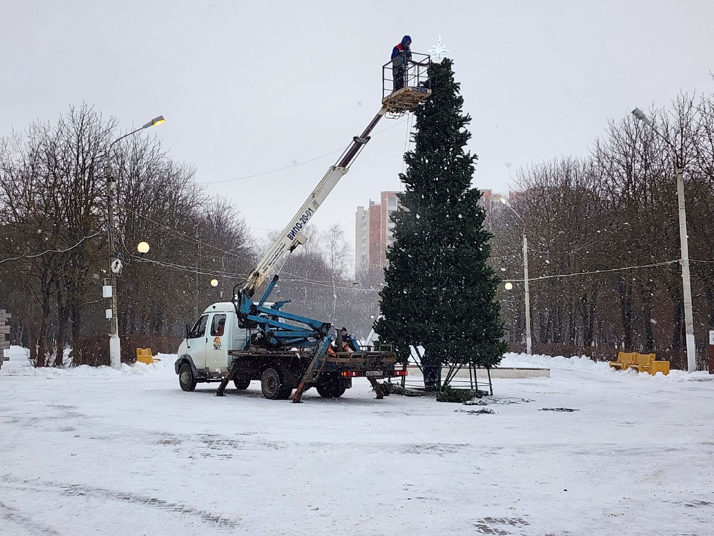 серпухов, новогодняя елка, городские парки, новый год, новогодние украшения, парк питомник,