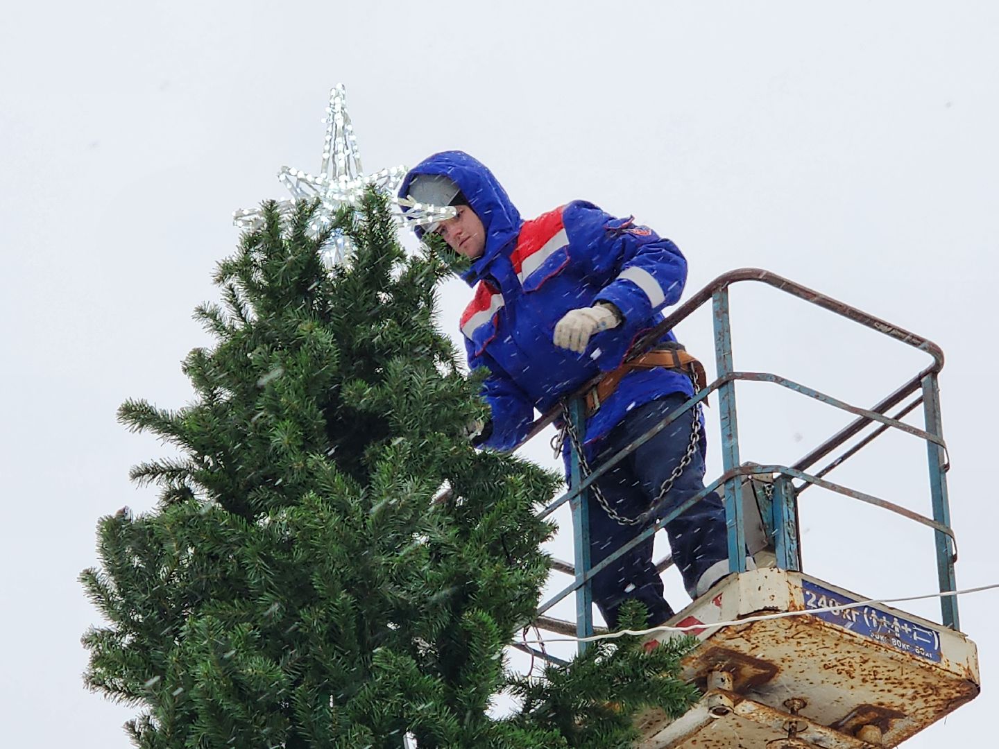 серпухов, новогодняя елка, городские парки, новый год, новогодние украшения, парк питомник,