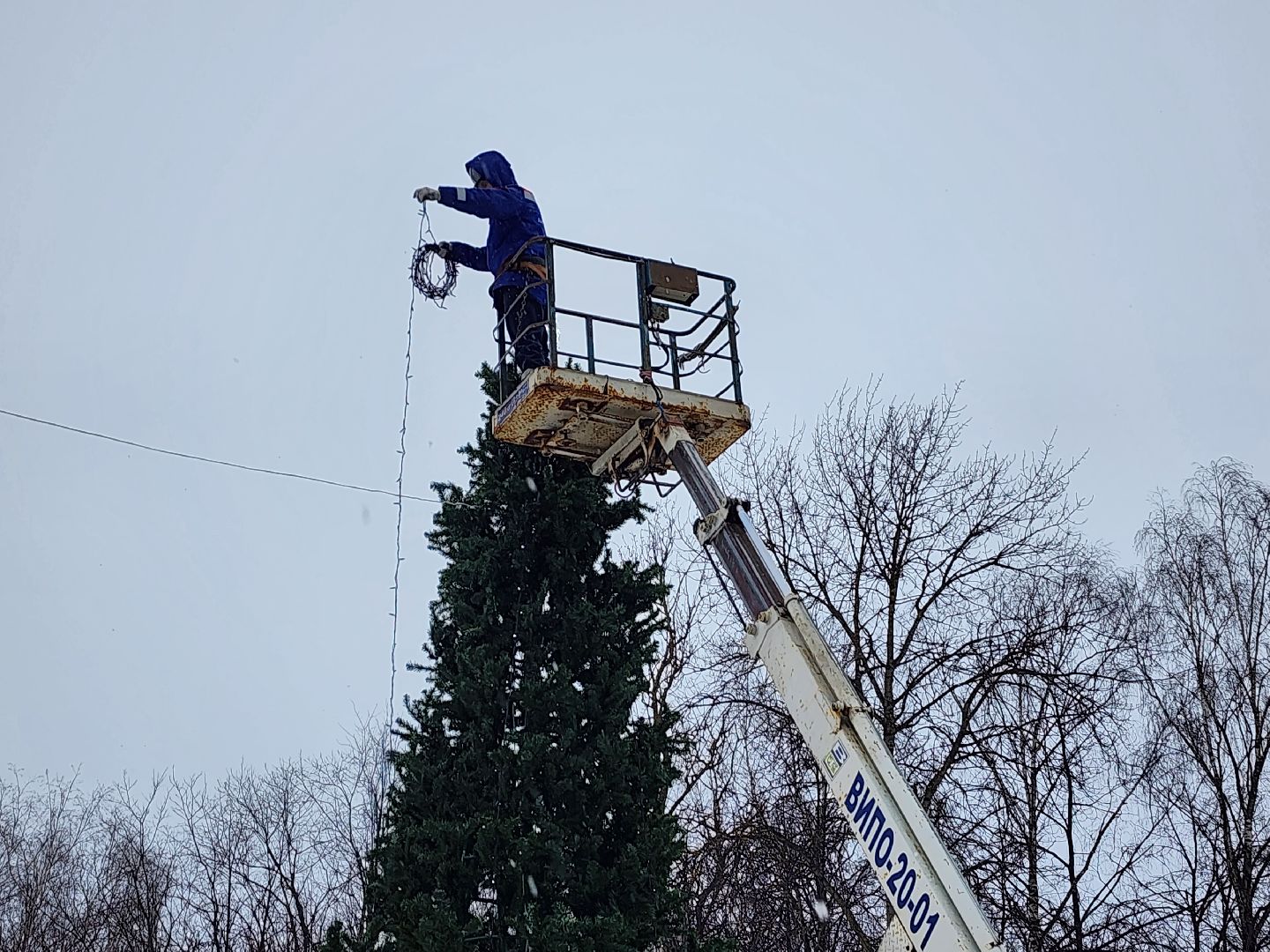 серпухов, новогодняя елка, городские парки, новый год, новогодние украшения, парк питомник,