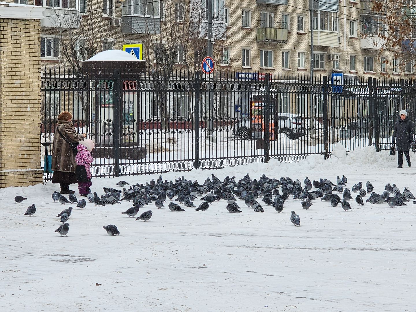 серпухов, новогодняя елка, городские парки, новый год, новогодние украшения, парк питомник,
