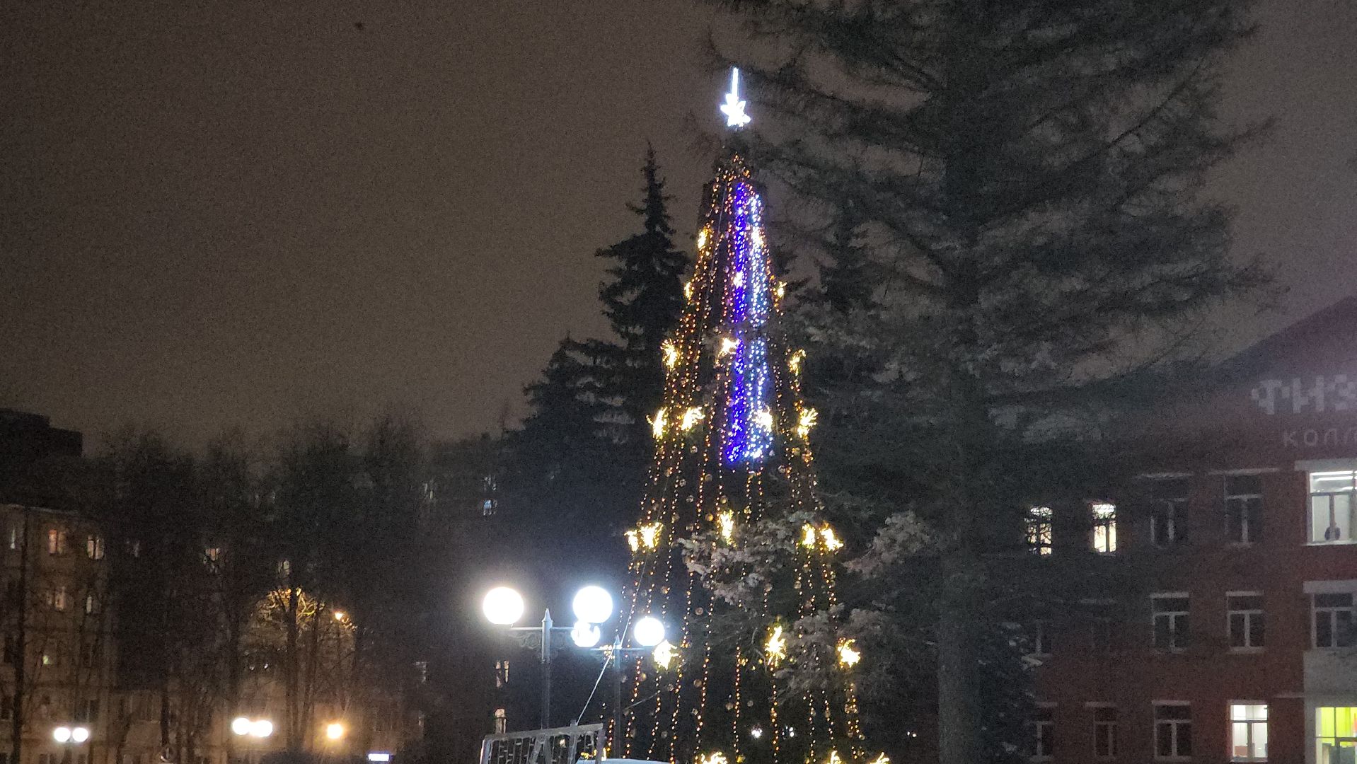 долгопрудный, елка, подарочная коробка, инсталляция, зима,