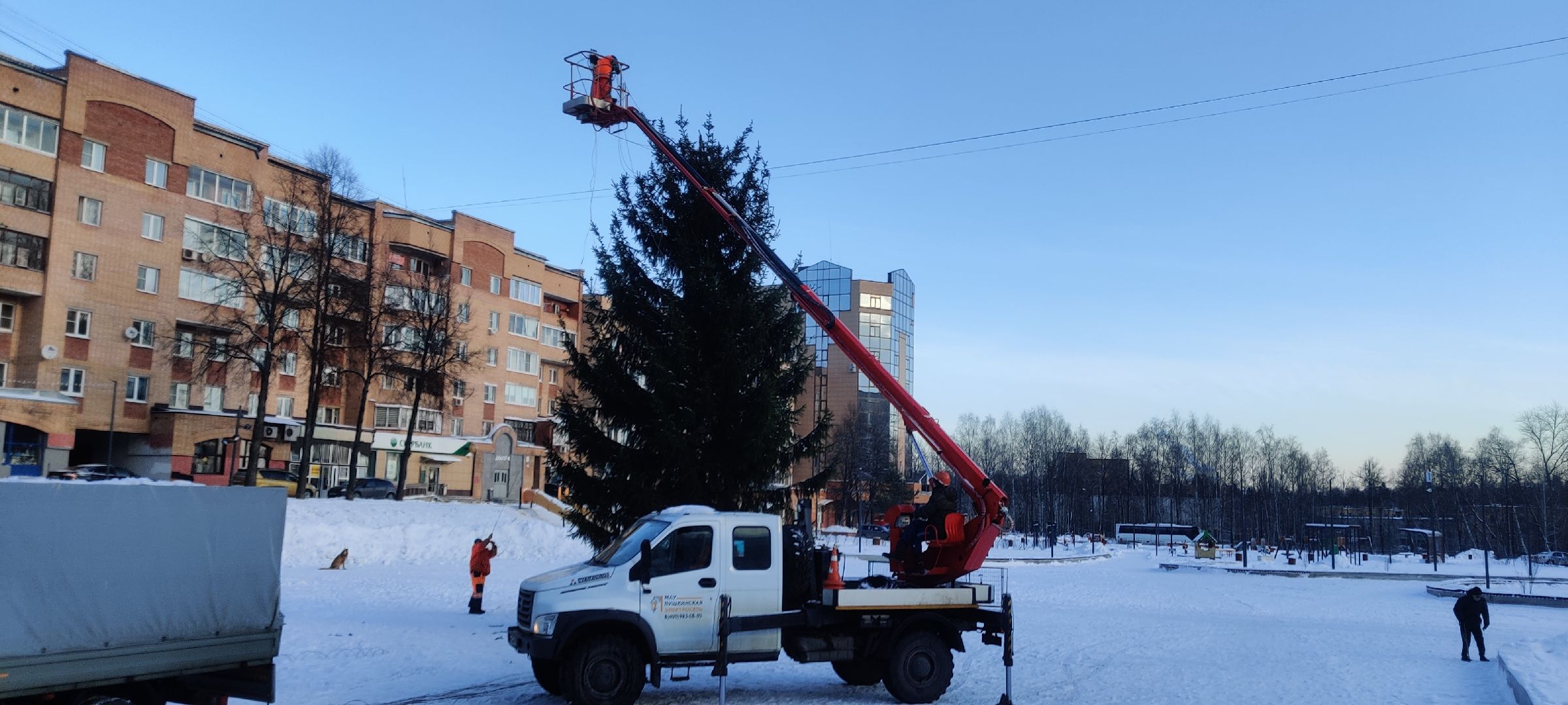 красноармейск, г.о. пушкинский, новогодняя ель, новогодние украшения,