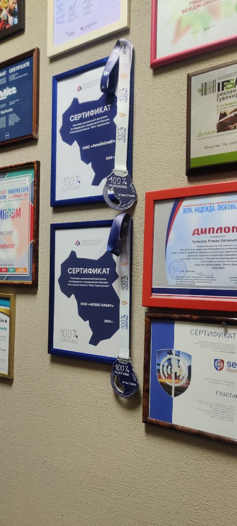 красноармейск, г.о. пушкинский, экономический форум, 100процентовПодмосковье,