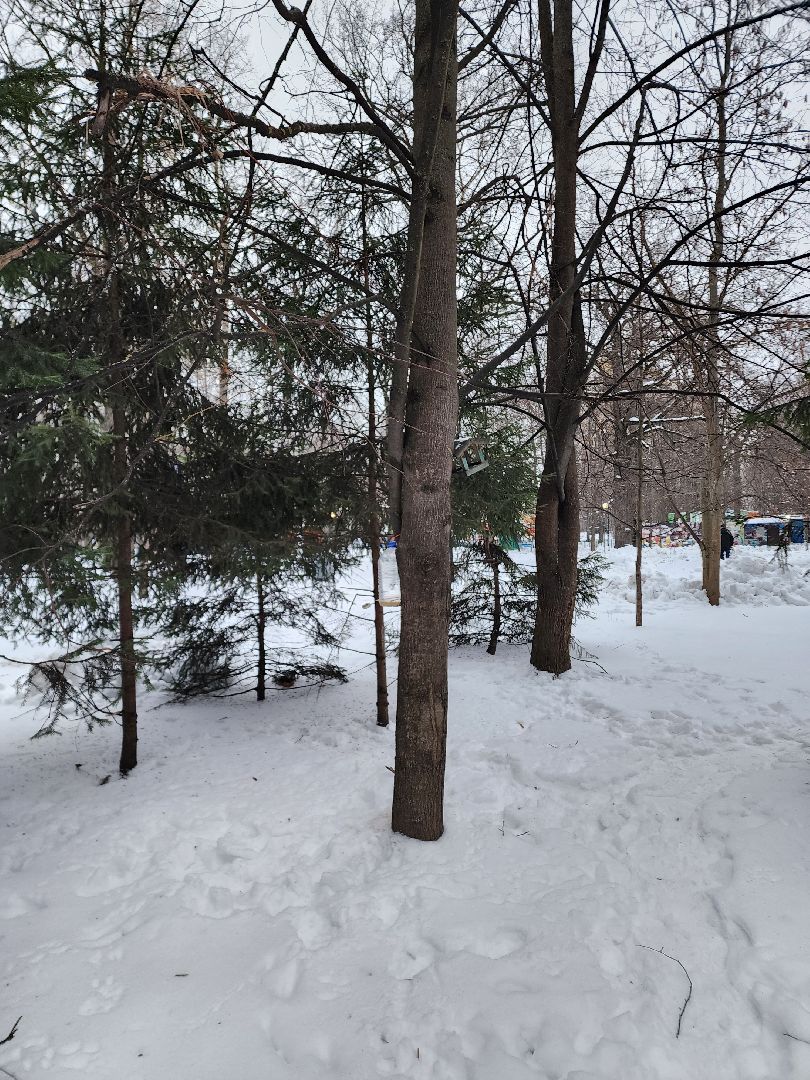 Парки, благоустройство, химки,