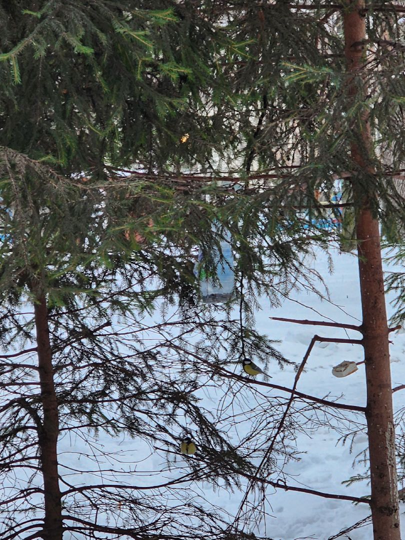 Парки, благоустройство, химки,