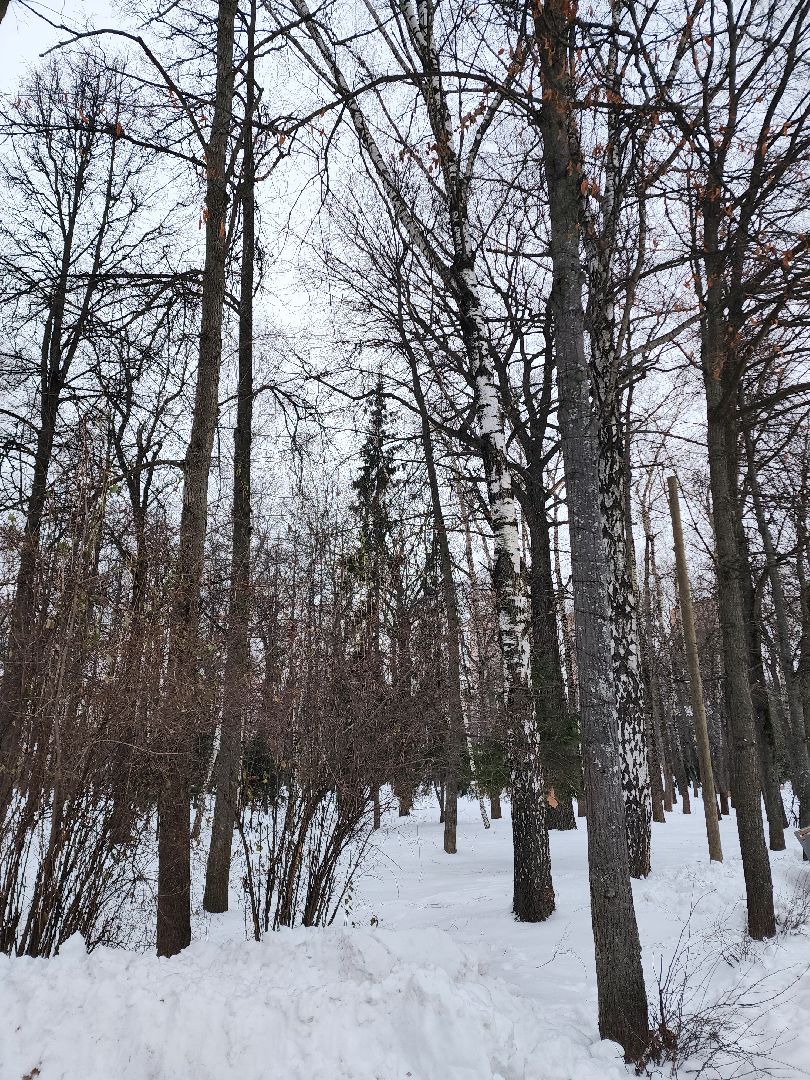 Парки, благоустройство, химки,