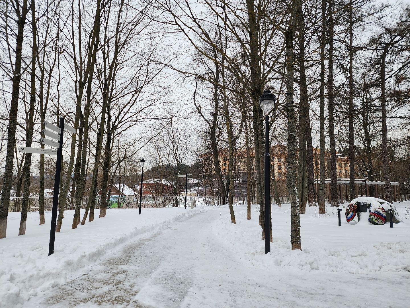 Звенигород, новогодняя елка, культура подмосковья,