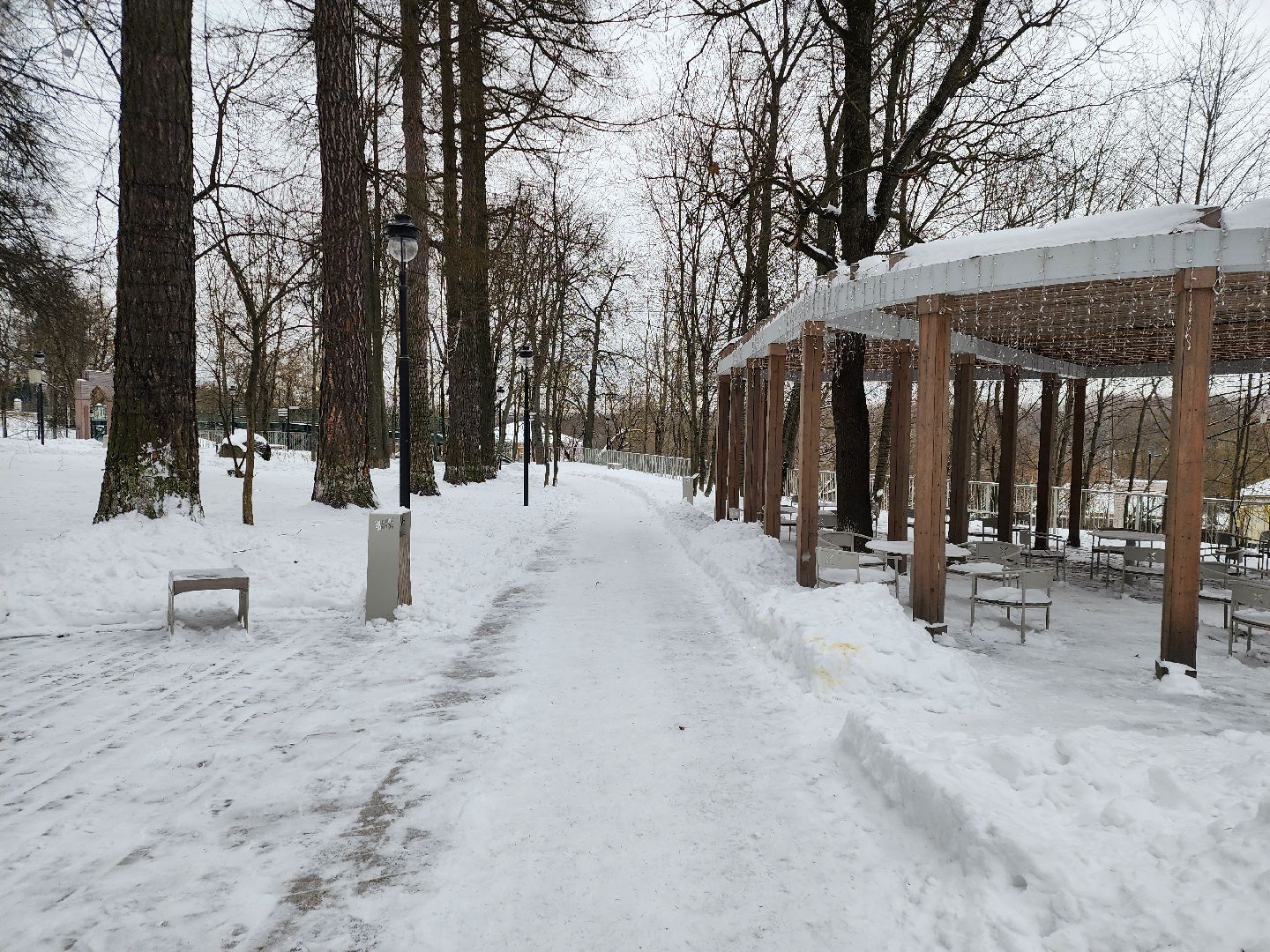 Звенигород, новогодняя елка, культура подмосковья,
