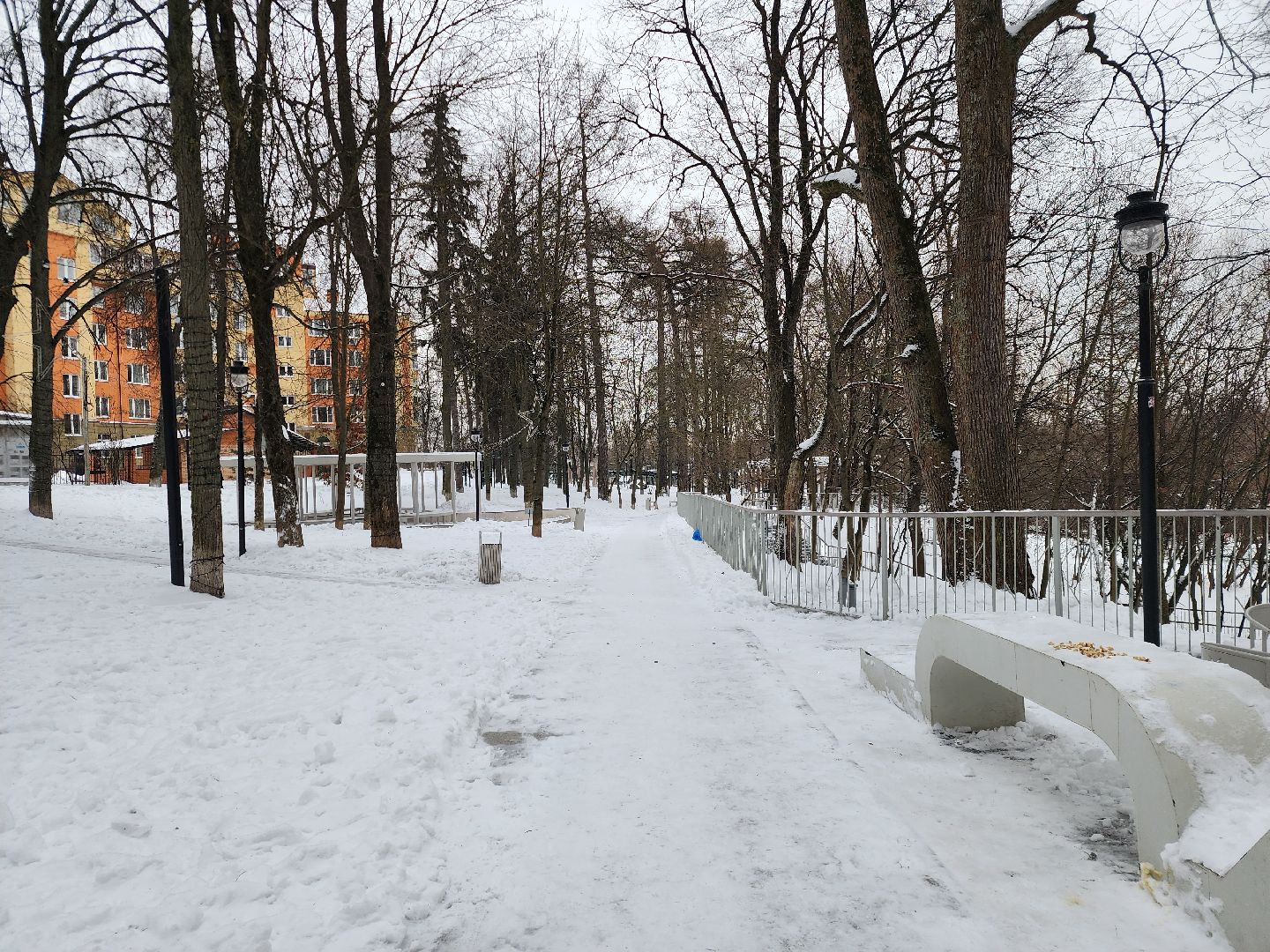 Звенигород, новогодняя елка, культура подмосковья,