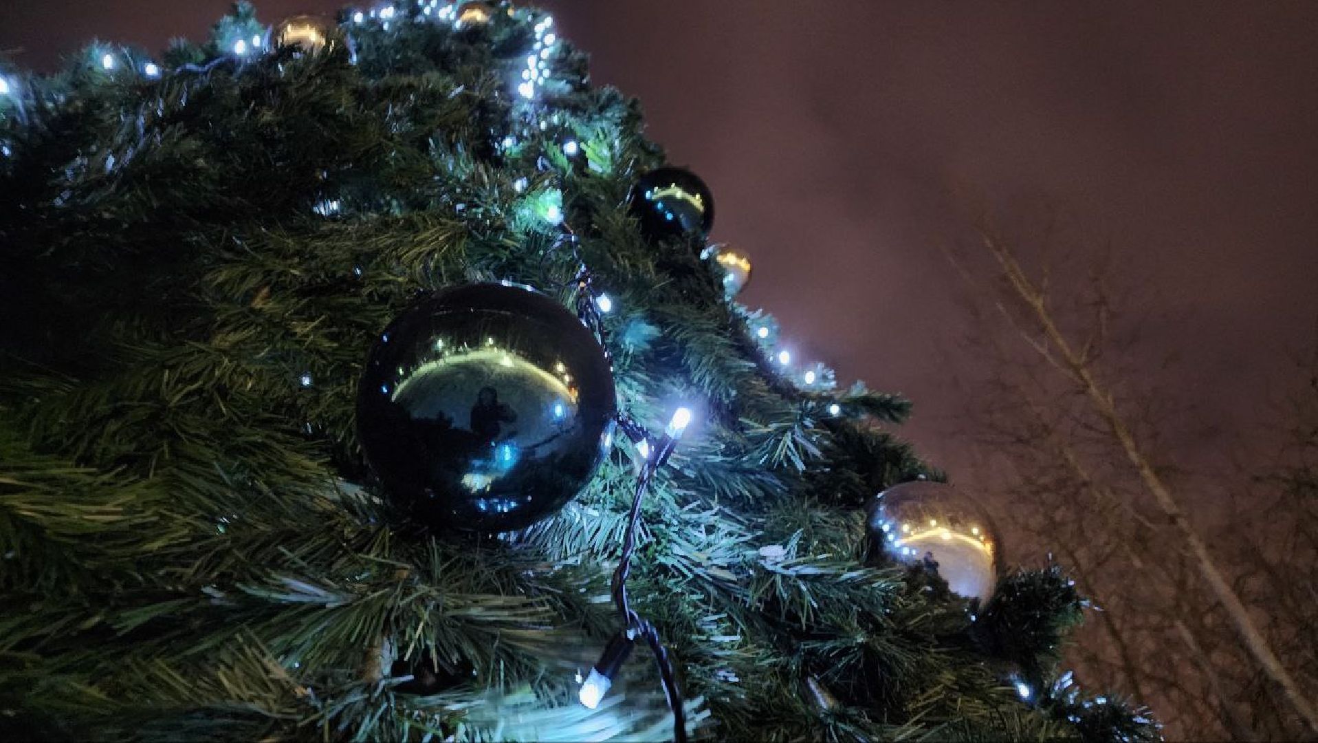 парк, зима, Лосино-Петровский,