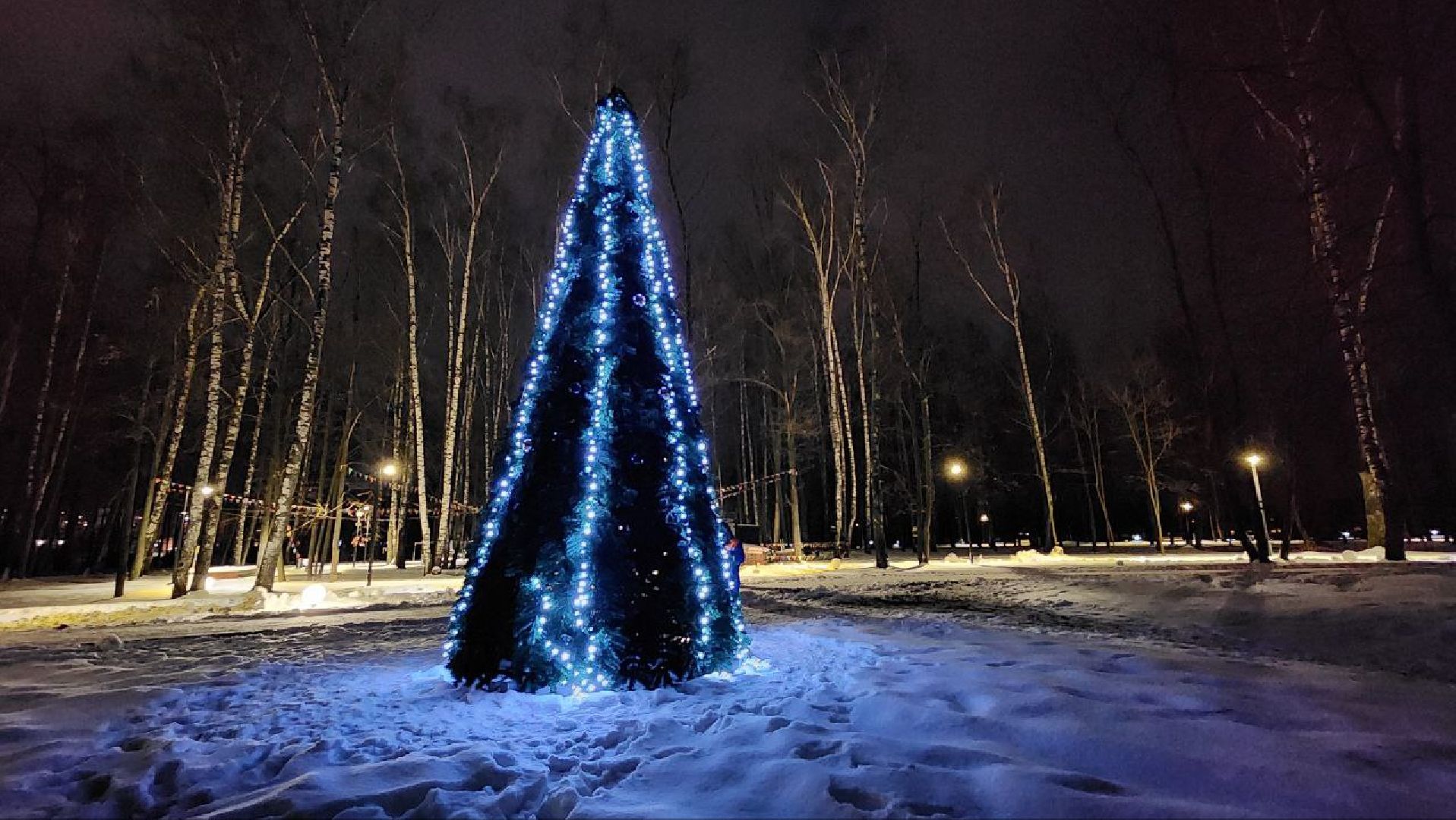 парк, зима, Лосино-Петровский,