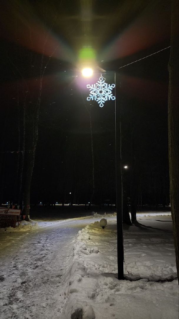 парк, зима, Лосино-Петровский,