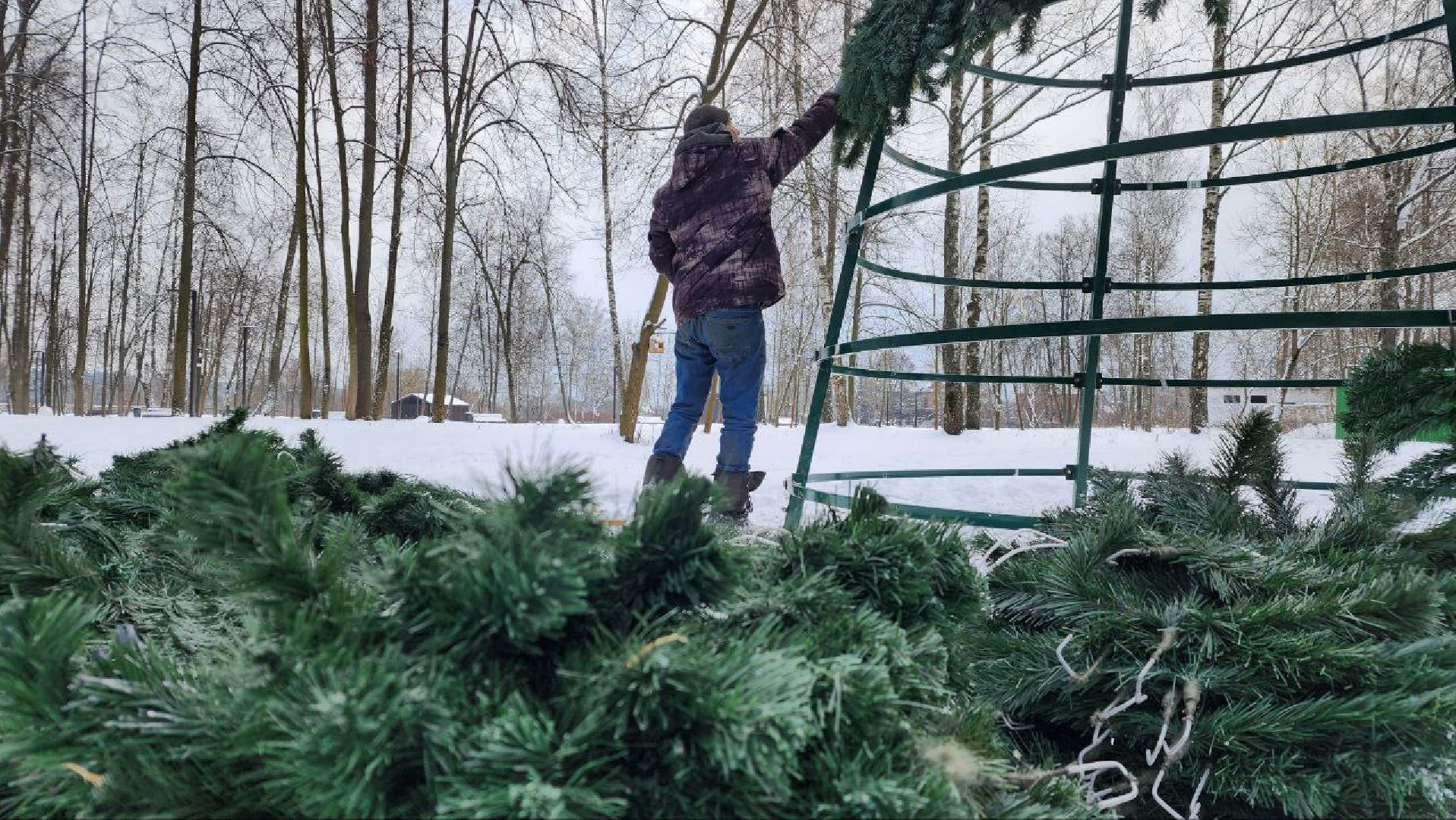 парк, зима, Лосино-Петровский,