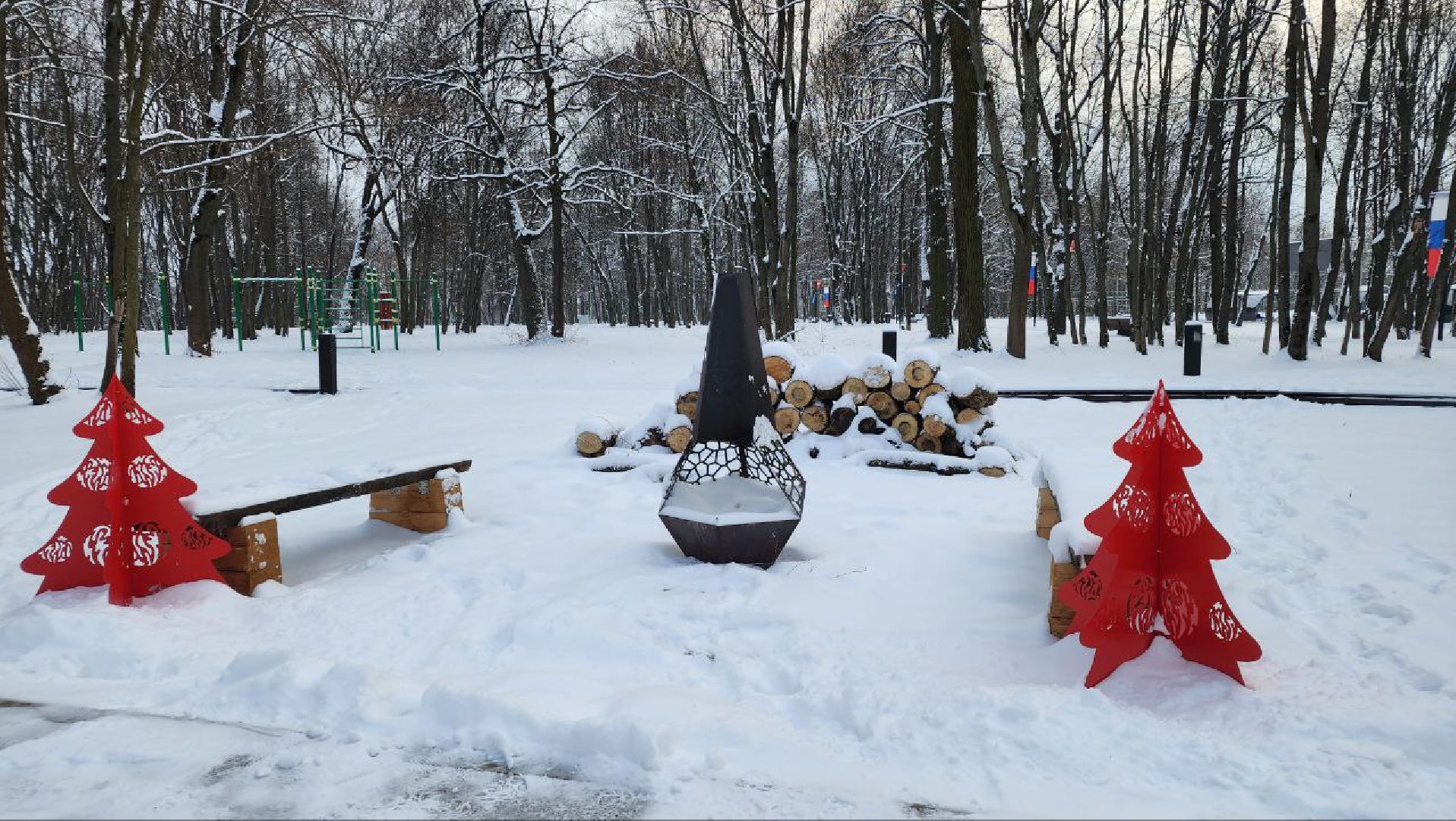 парк, зима, Лосино-Петровский,