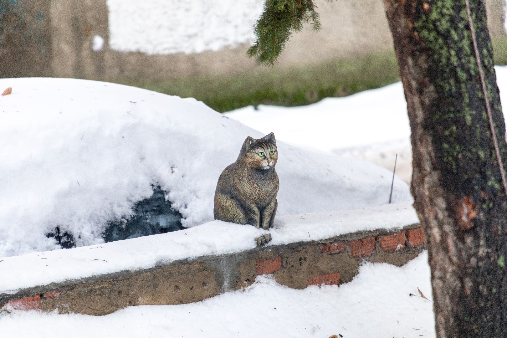 лыткарино, общество, кошка, скульптура, памятник,