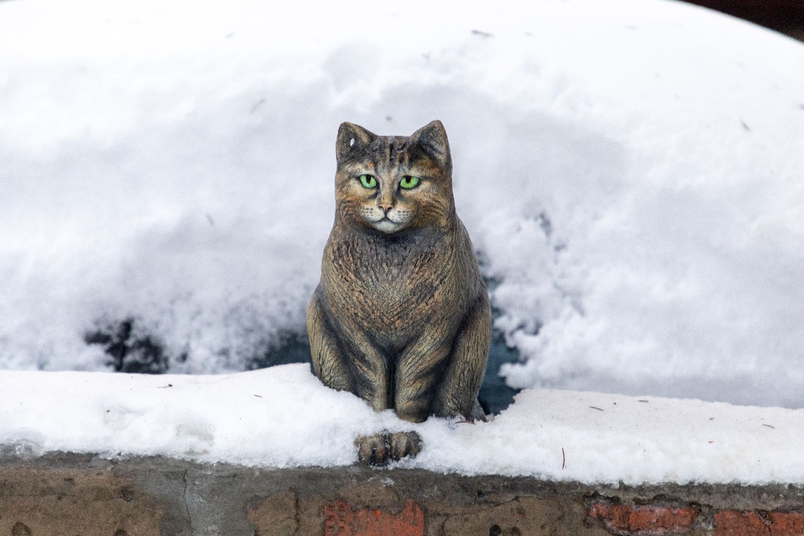 лыткарино, общество, кошка, скульптура, памятник,