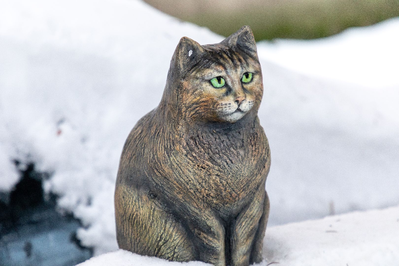 лыткарино, общество, кошка, скульптура, памятник,