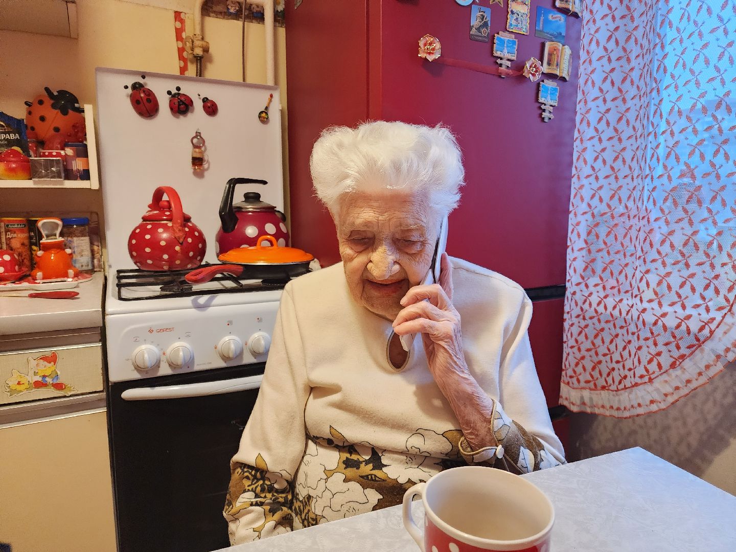 Подольск, день воинской славы России, ветеран вов, Родина, патриотизм,