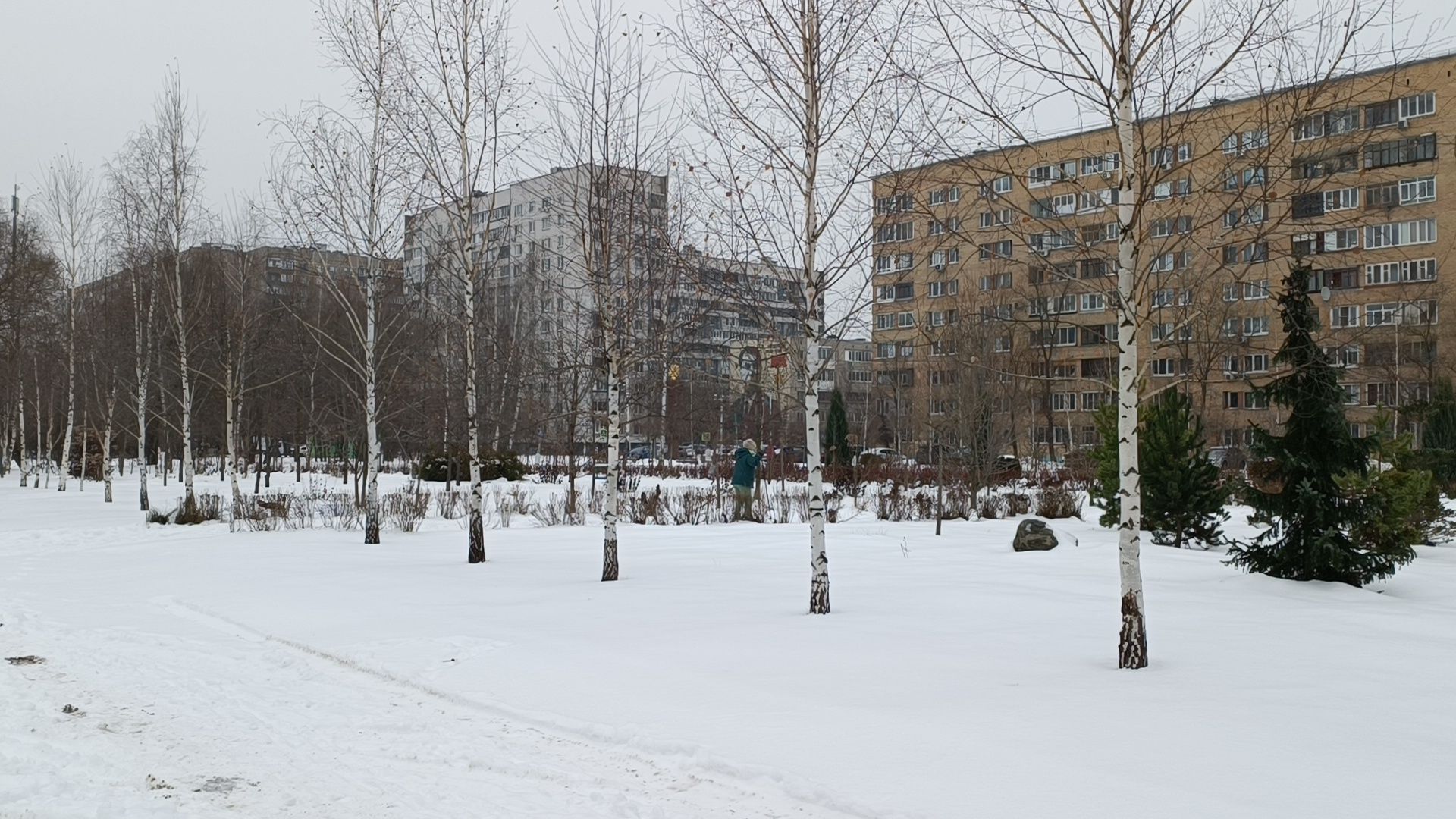 парк, реконструкция, лобня,