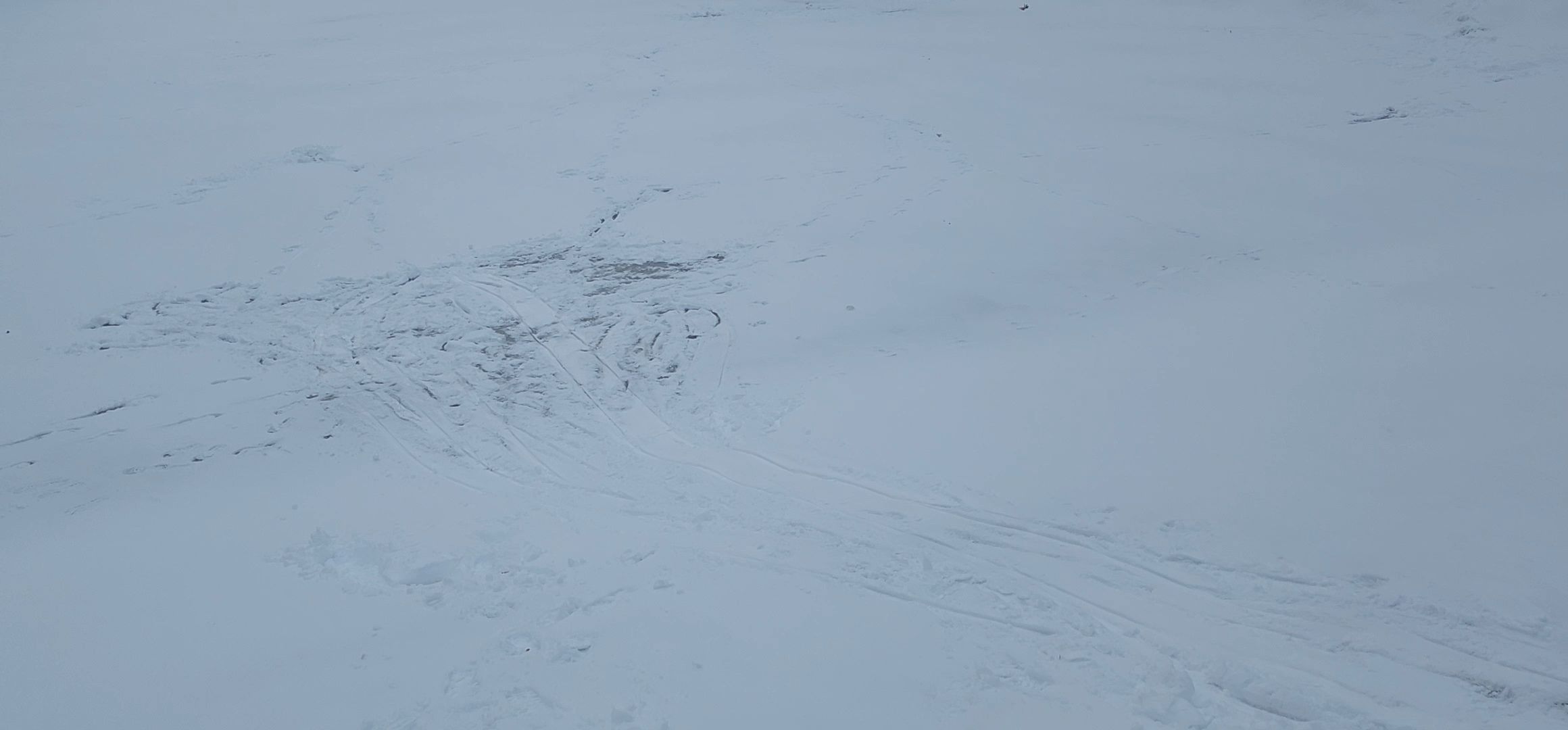 Коломна, зимний сезон, водоемы, лед, безопасность,