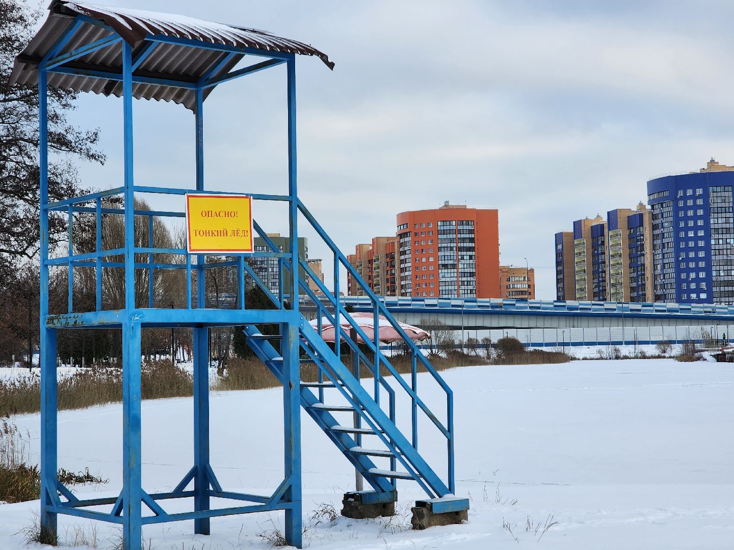 Парк, Благоустройство, Елка, Новый год, Дед мороз, зима в подмосковье, Дубна,