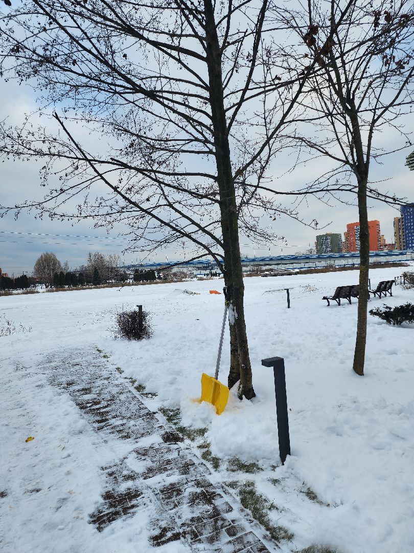 Парк, Благоустройство, Елка, Новый год, Дед мороз, зима в подмосковье, Дубна,