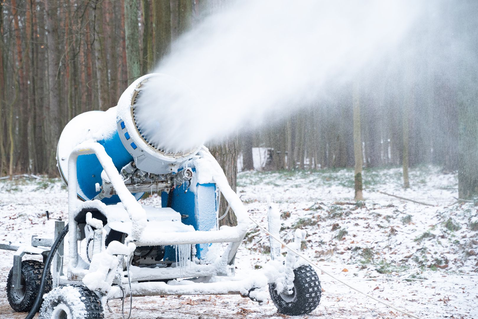 лыткарино, спорт, волкуша, лыжи,