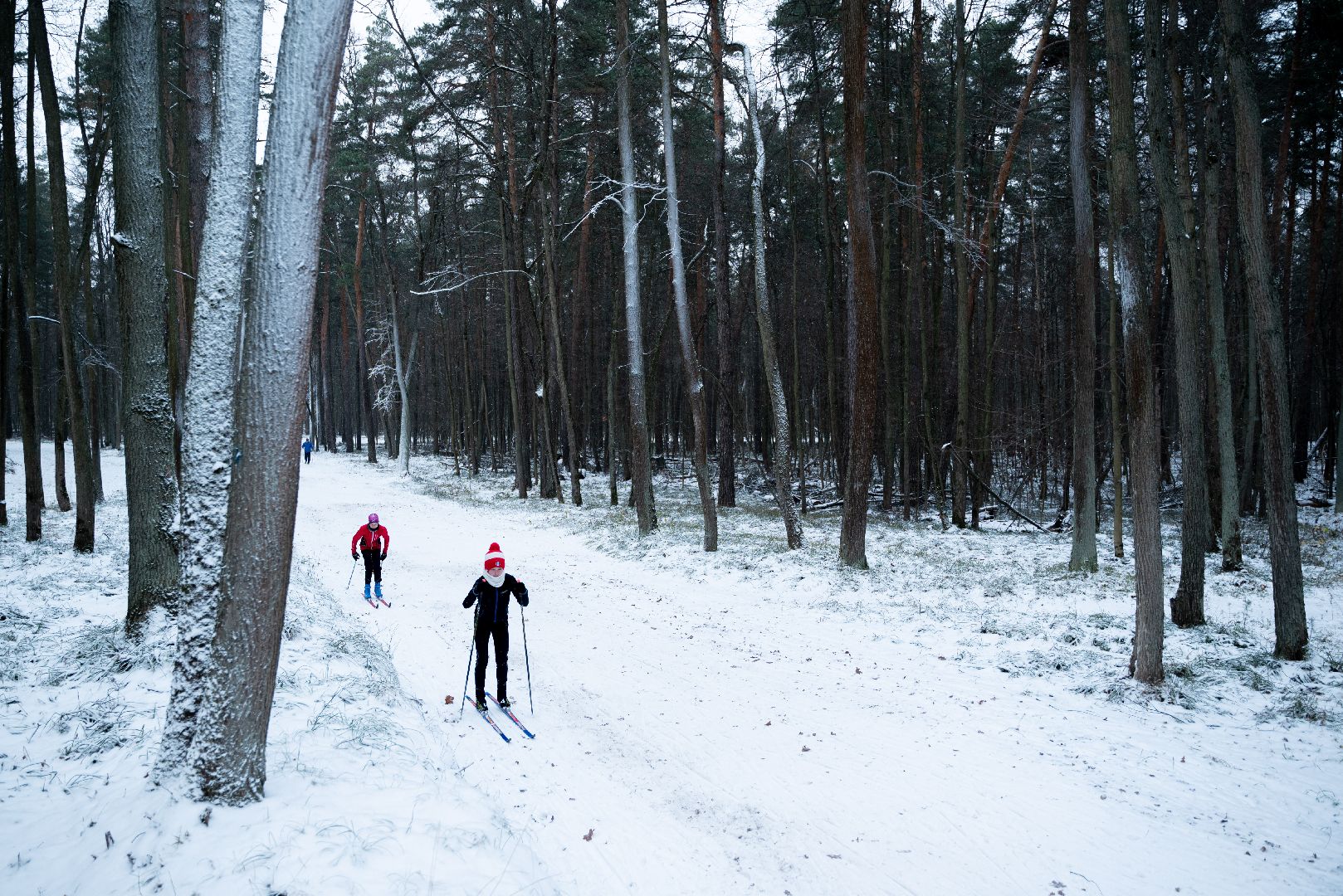 лыткарино, спорт, волкуша, лыжи,