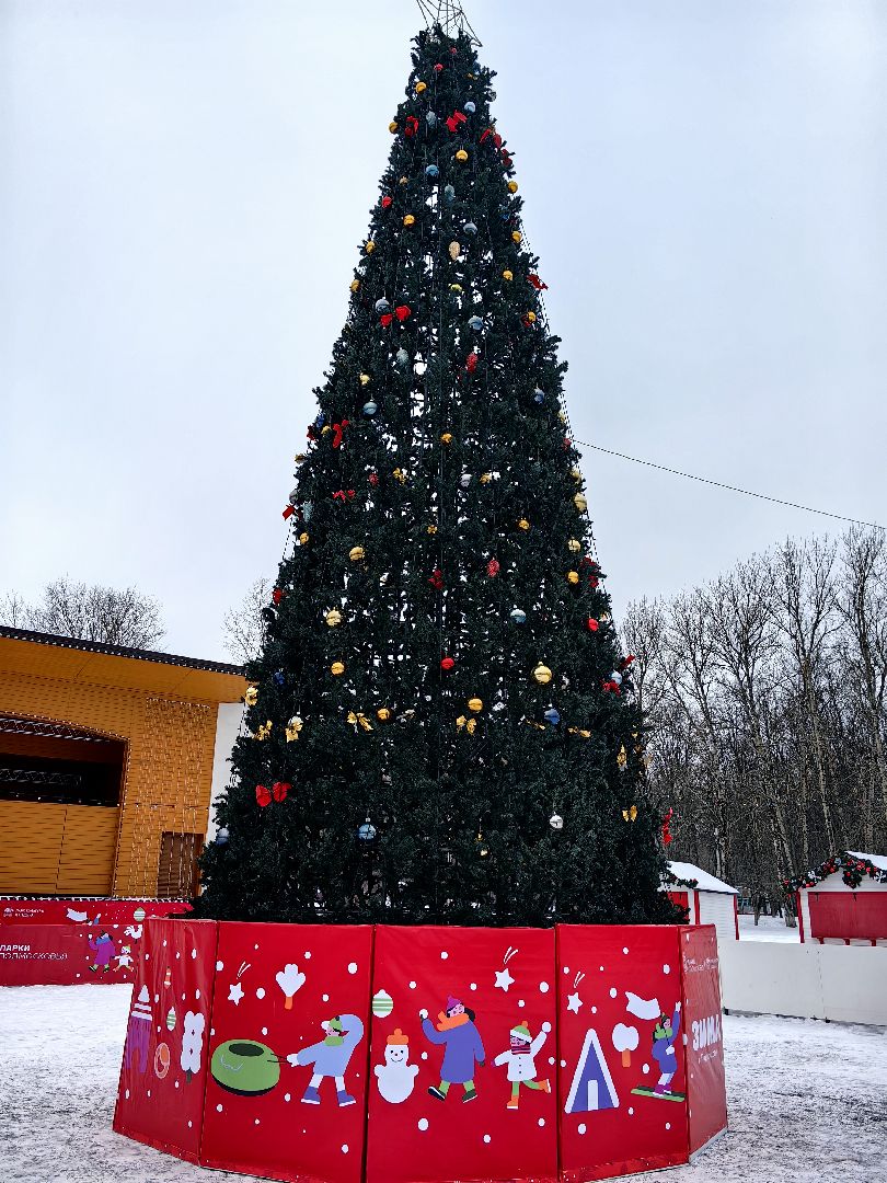 ель, новый год, парк, праздник, шары, новогодние украшения,